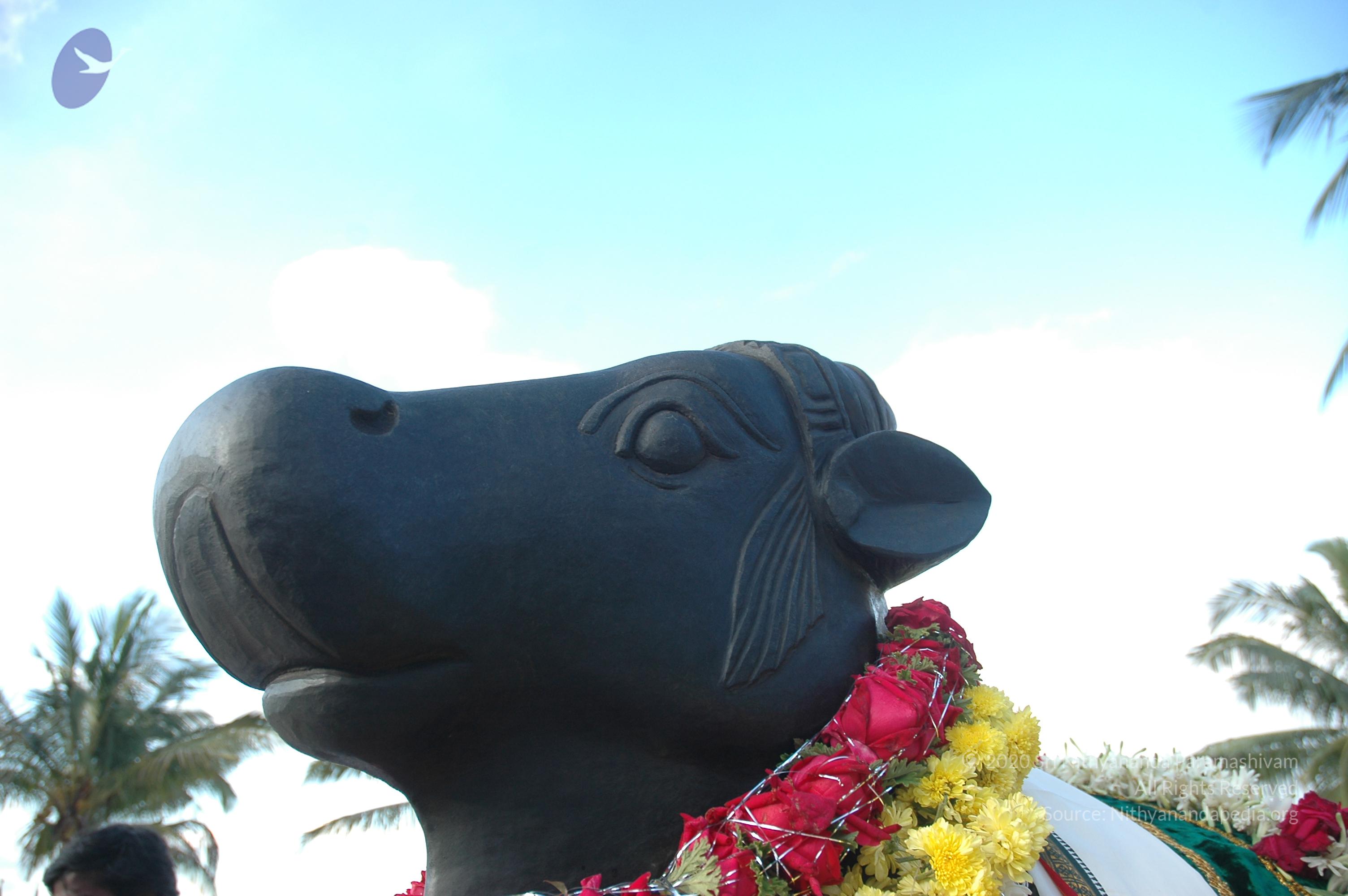 20070826_Photo_194_1brp0IR9dGNpIpsDt7NL9yD8cIiUZoXKE