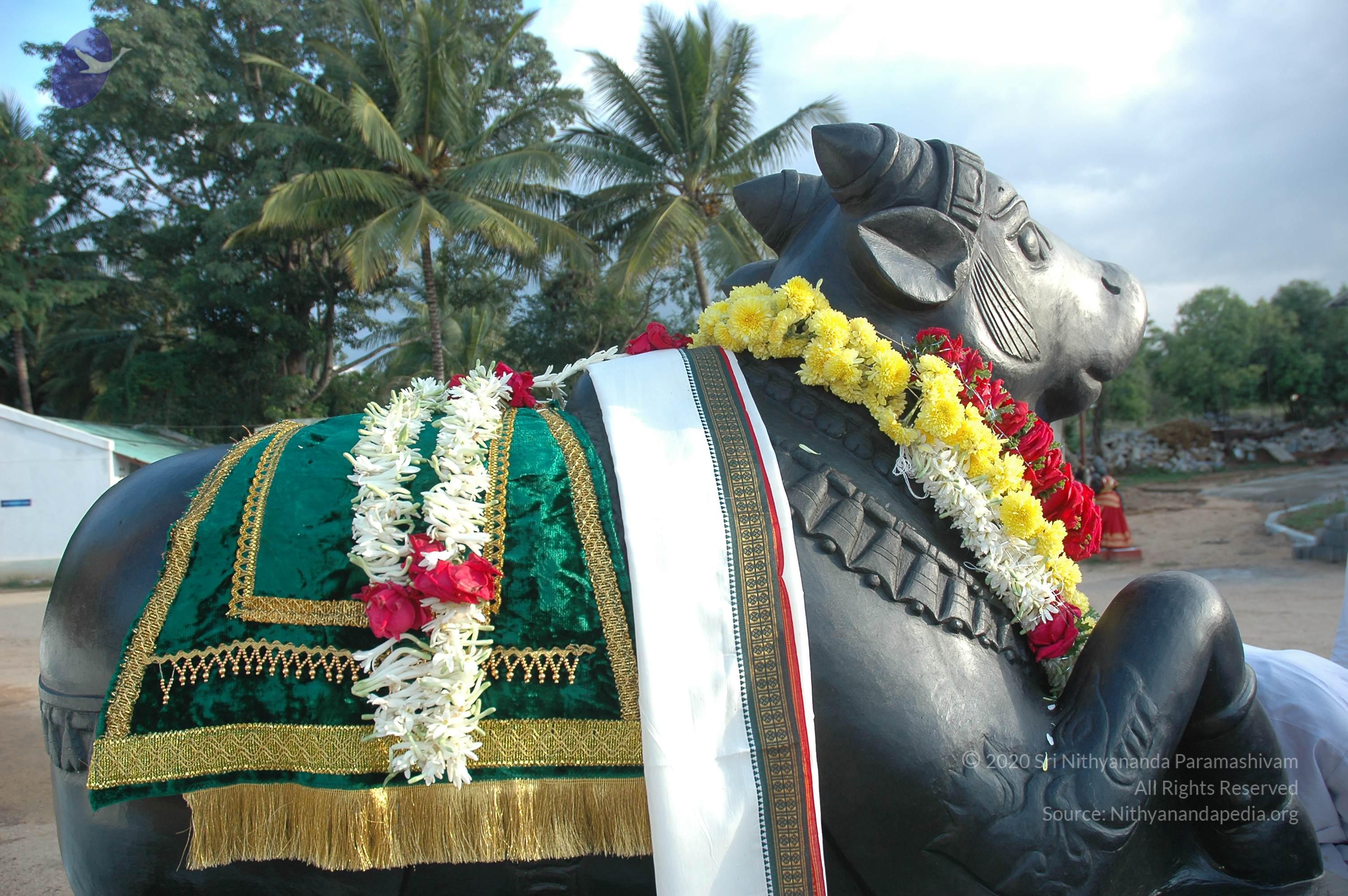 20070826_Photo_200_16VGXxayVeVFTXWv0tFGOhc9IkcS9nKTl