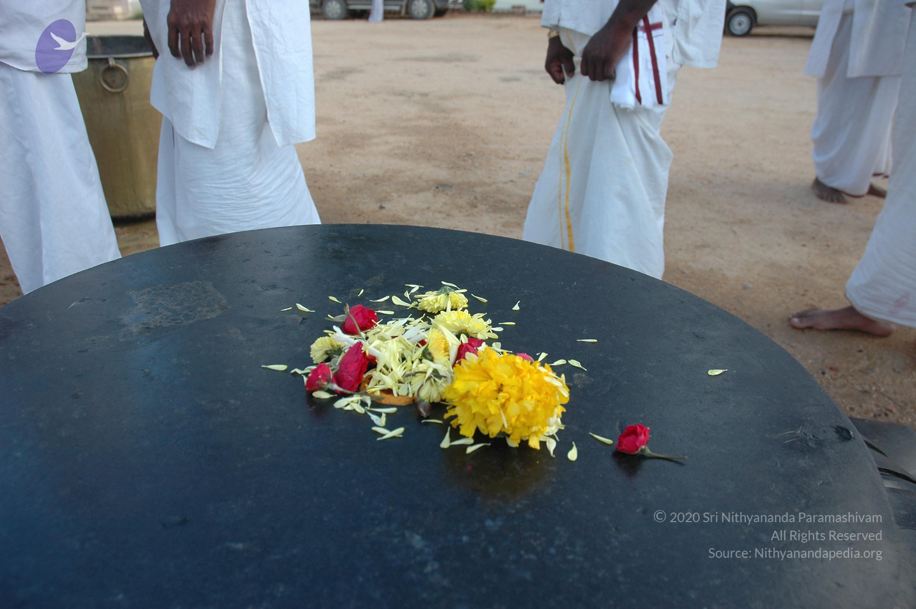 20070826_Photo_205_1LIIfrrlEPjMLSc-MDF4kFCefiFwex7df