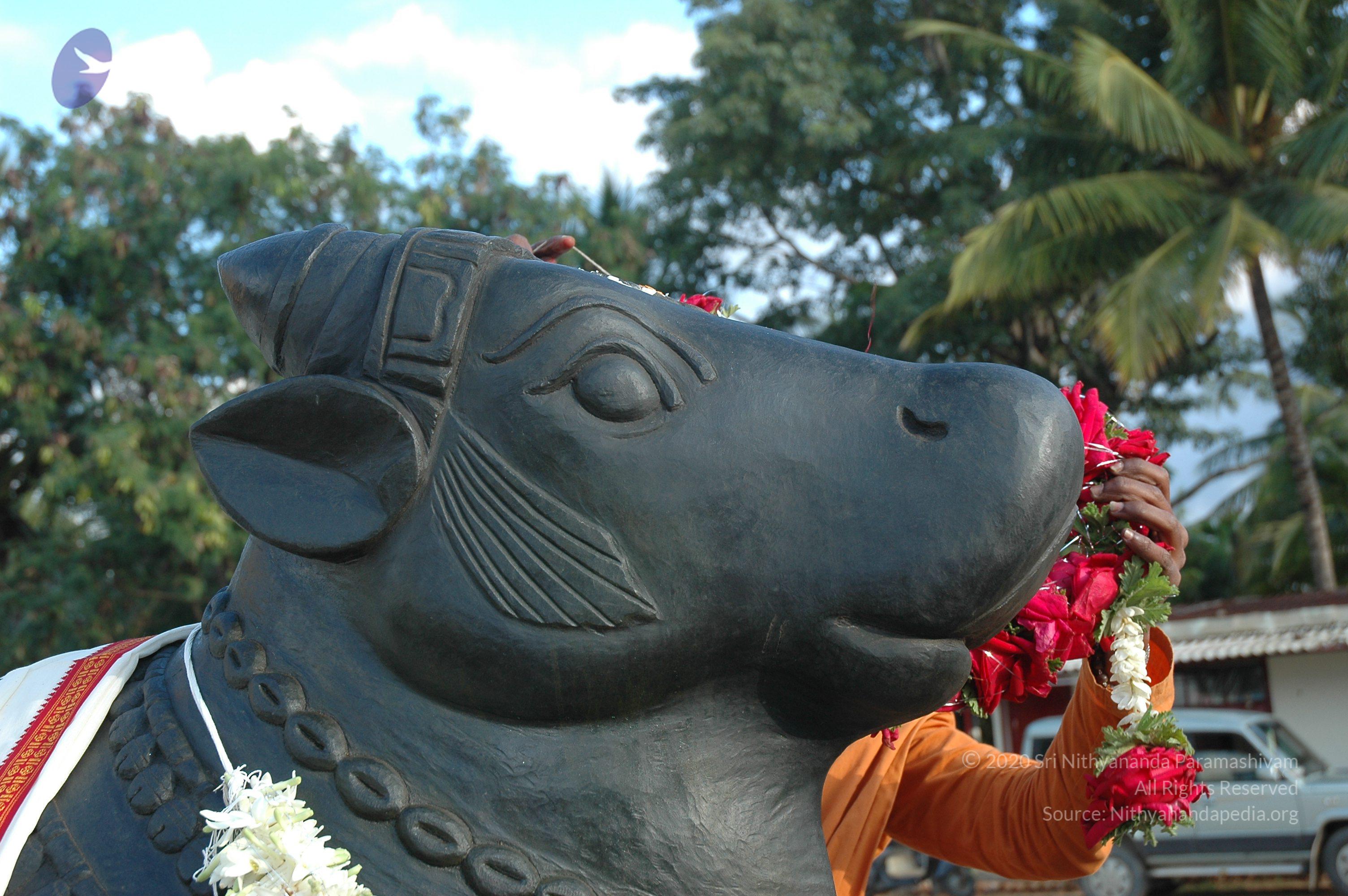 20070826_Photo_215_1YDX5xIkcebC6erNtTB7v0qJ9KsjTSVYm