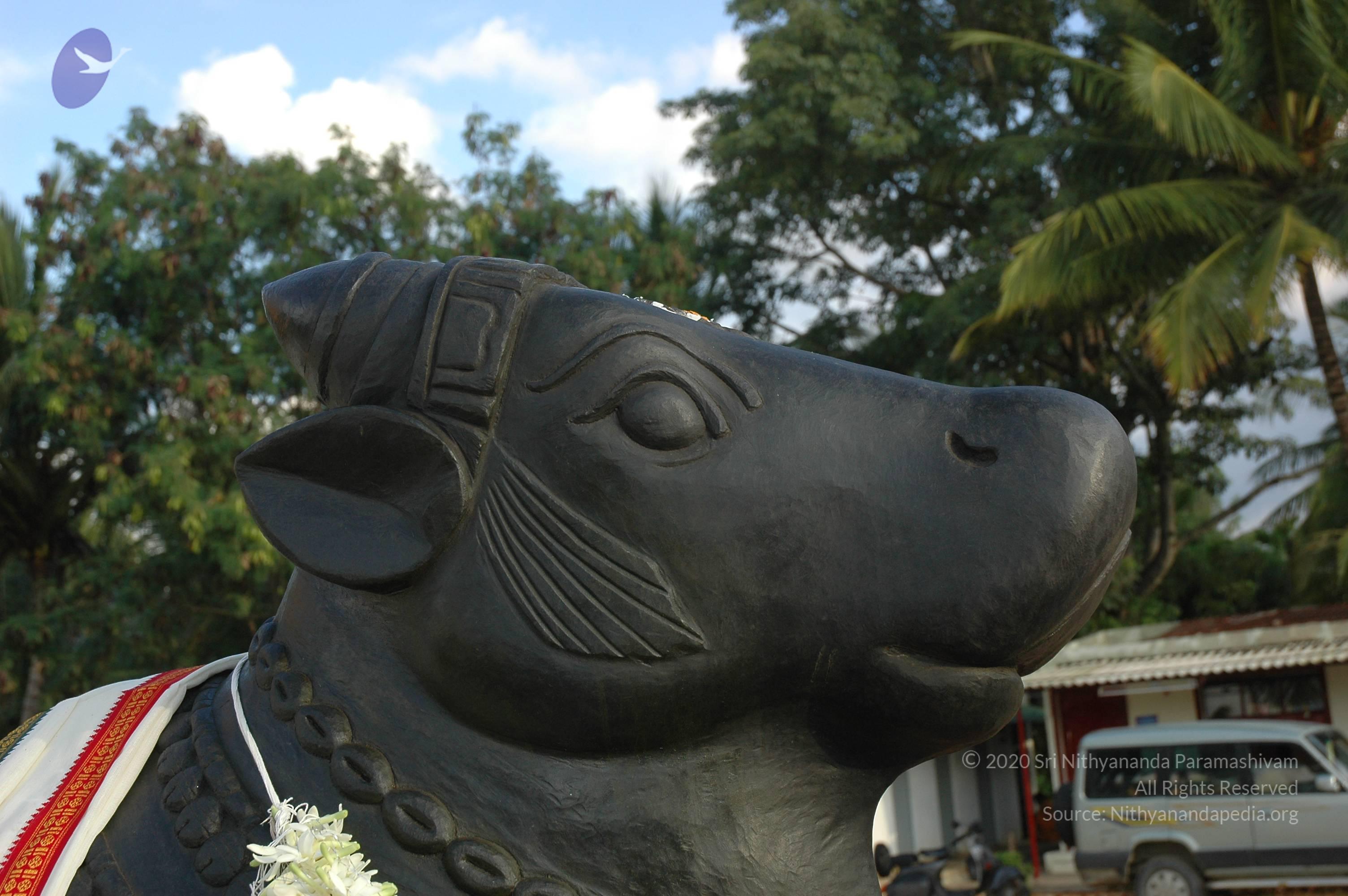 20070826_Photo_216_1Jf_QFygzTeM4Hh-Ud4m28BdowDAT8q-m