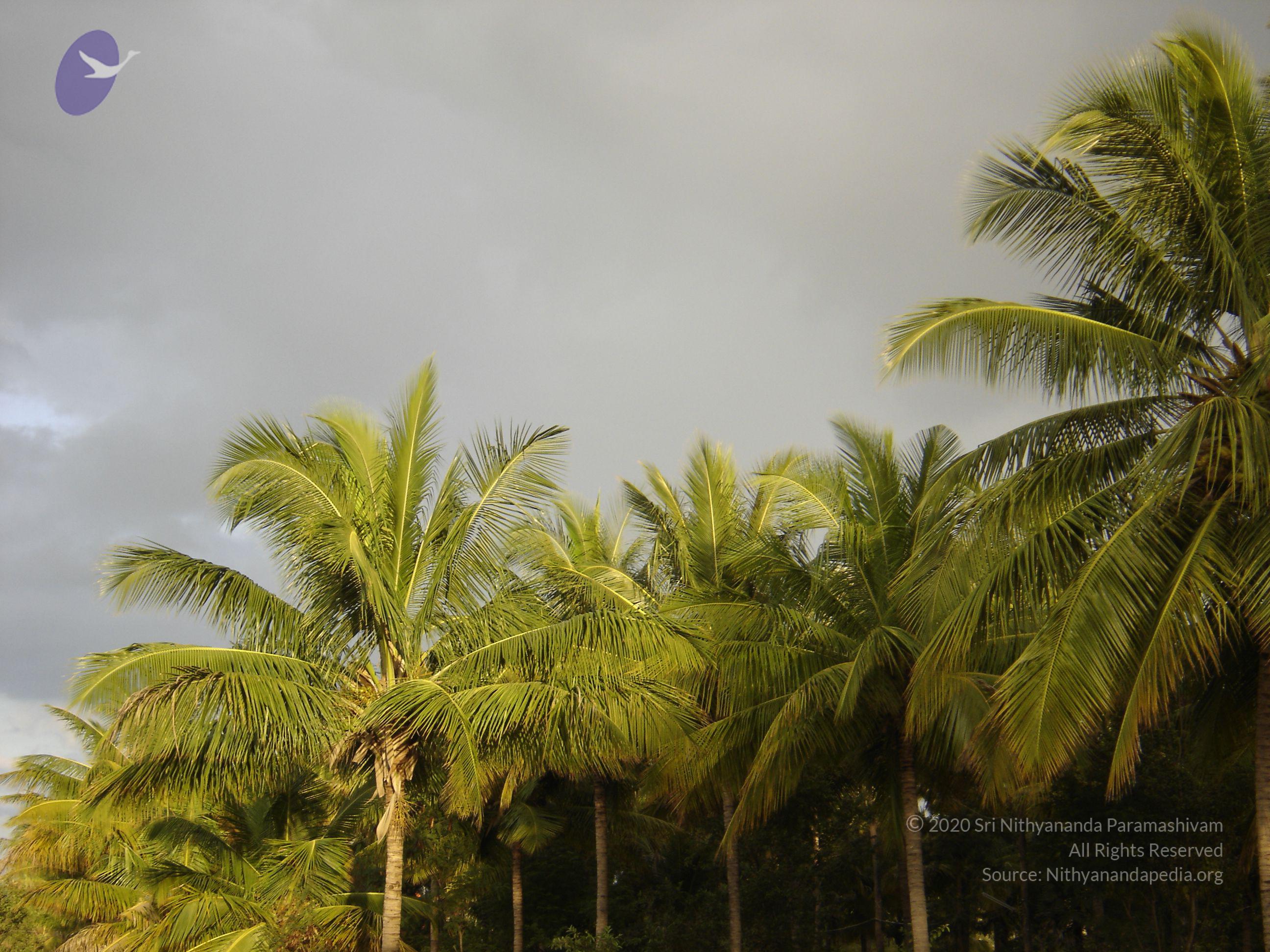 20070826_Photo_28_1uWFv_-kimZEbOwKkDUjHSqU3Ve2GWnFf