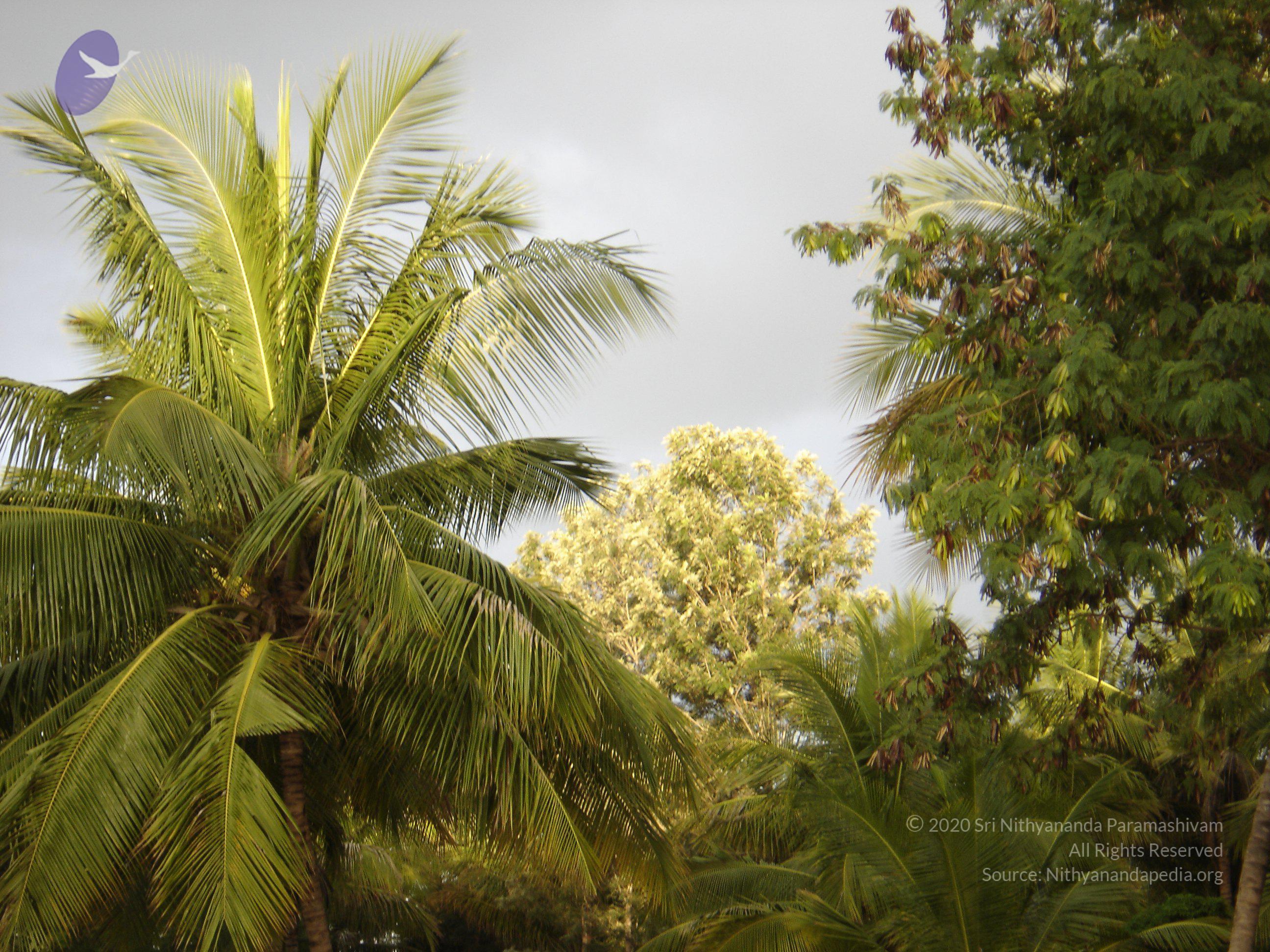 20070826_Photo_36_1XDMwpKEzdkpHg1oZe7wgMTSnuVNVrGyH