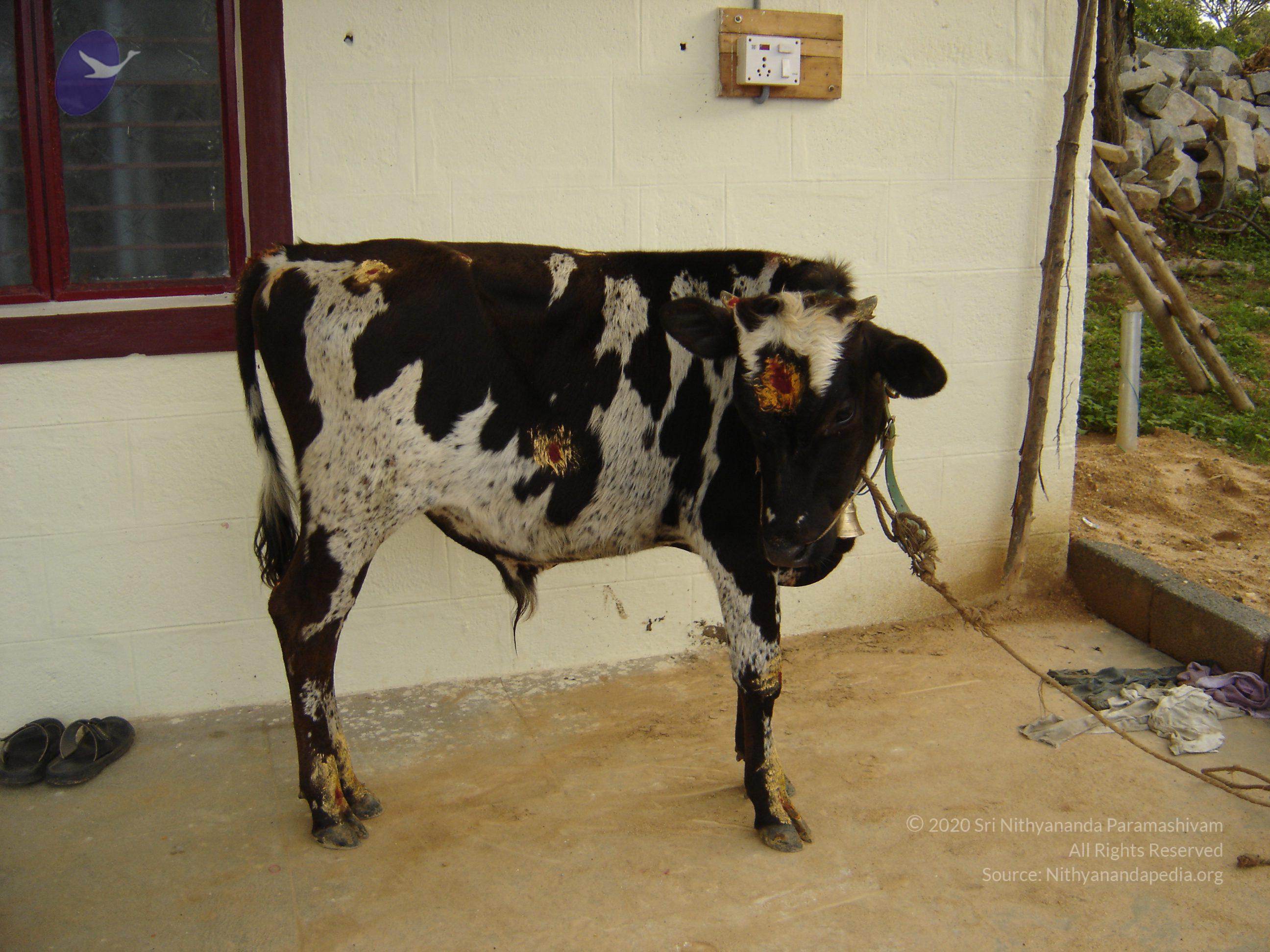 20070826_Photo_39_18FIislwSFPSjx4qPYNcDImNjEFKjY4Rl