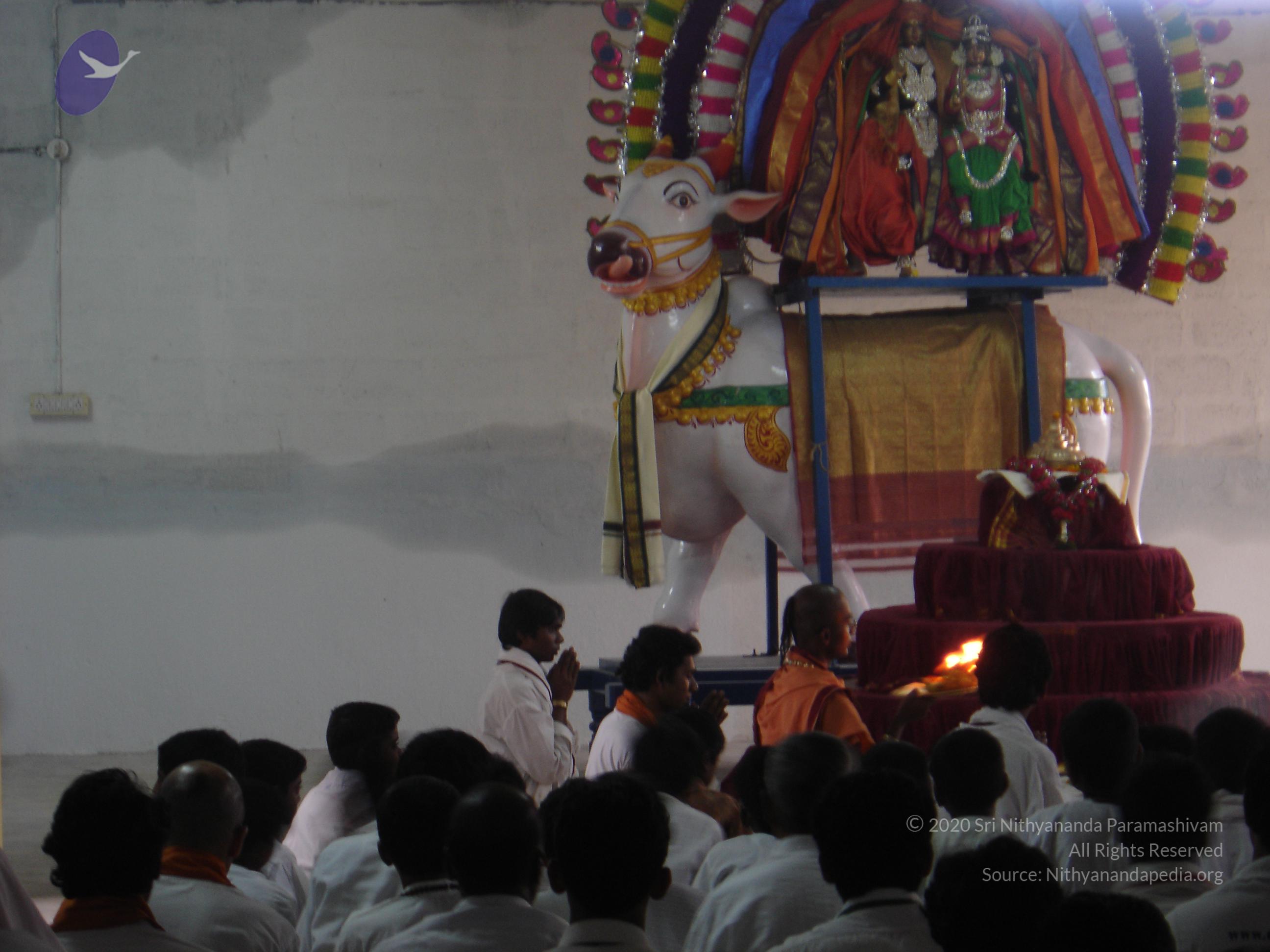 20070826_Photo_5_1JPStt9OOC5gnd9zMjEZpnF7N-nBWlt-R