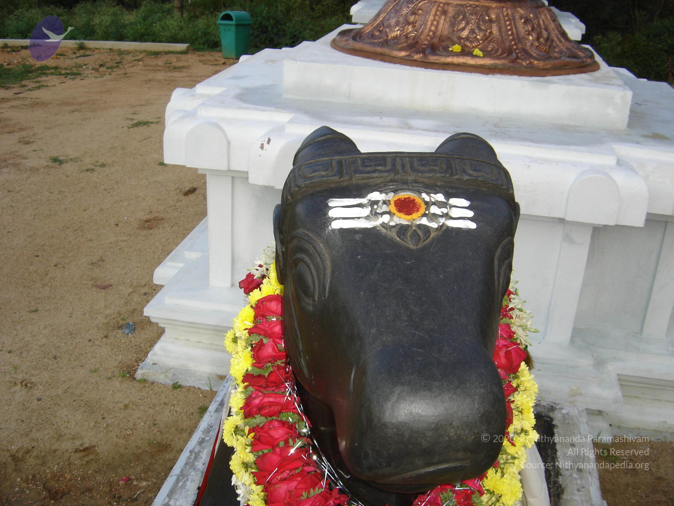 20070826_Photo_62_1P_UdZZ74s8JY3VpaFw7t9nM8_yLBP1JF