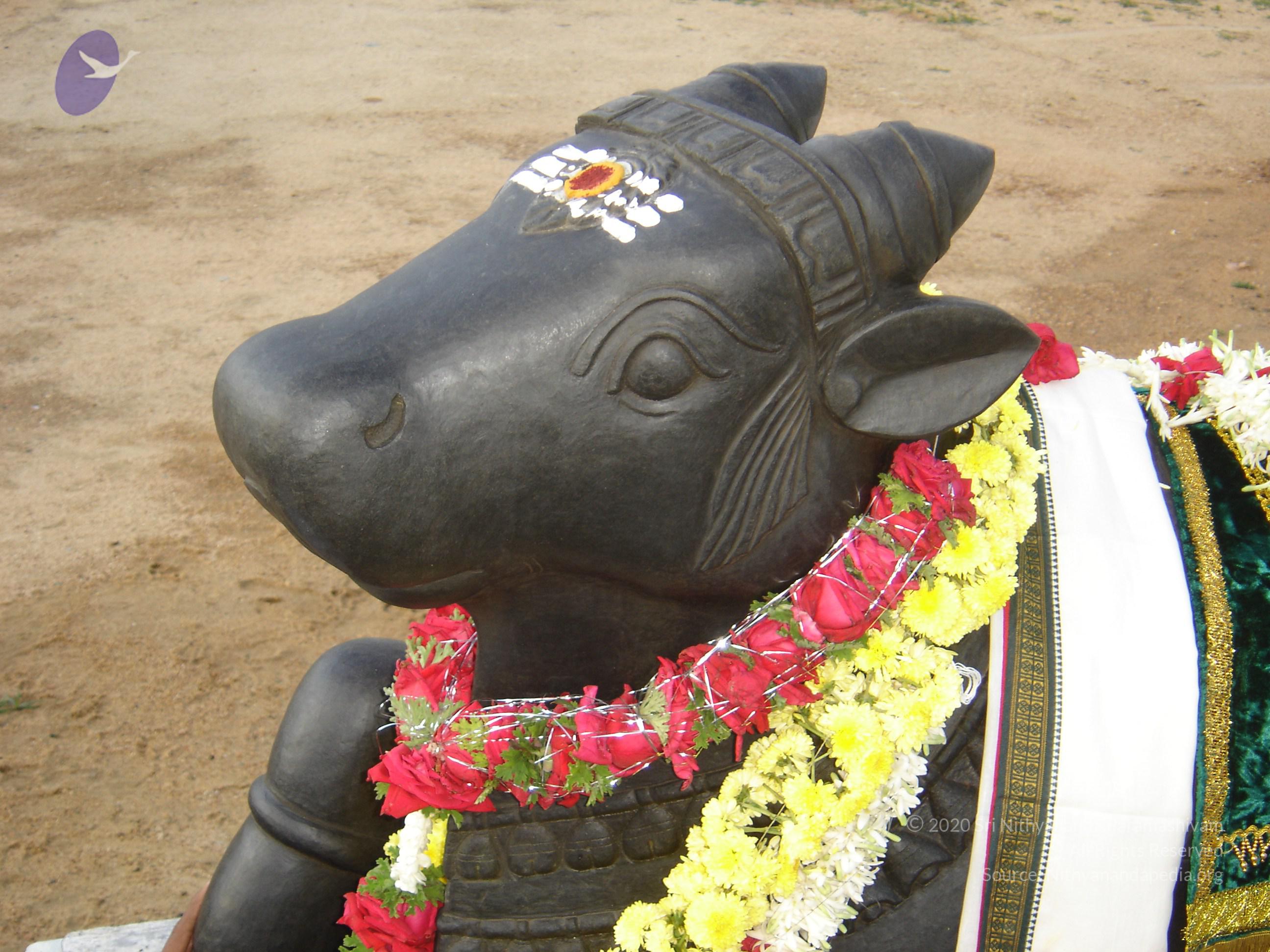 20070826_Photo_64_1b9zrnSO1xFuKlySHX7fWsQWf9qgEKA7W