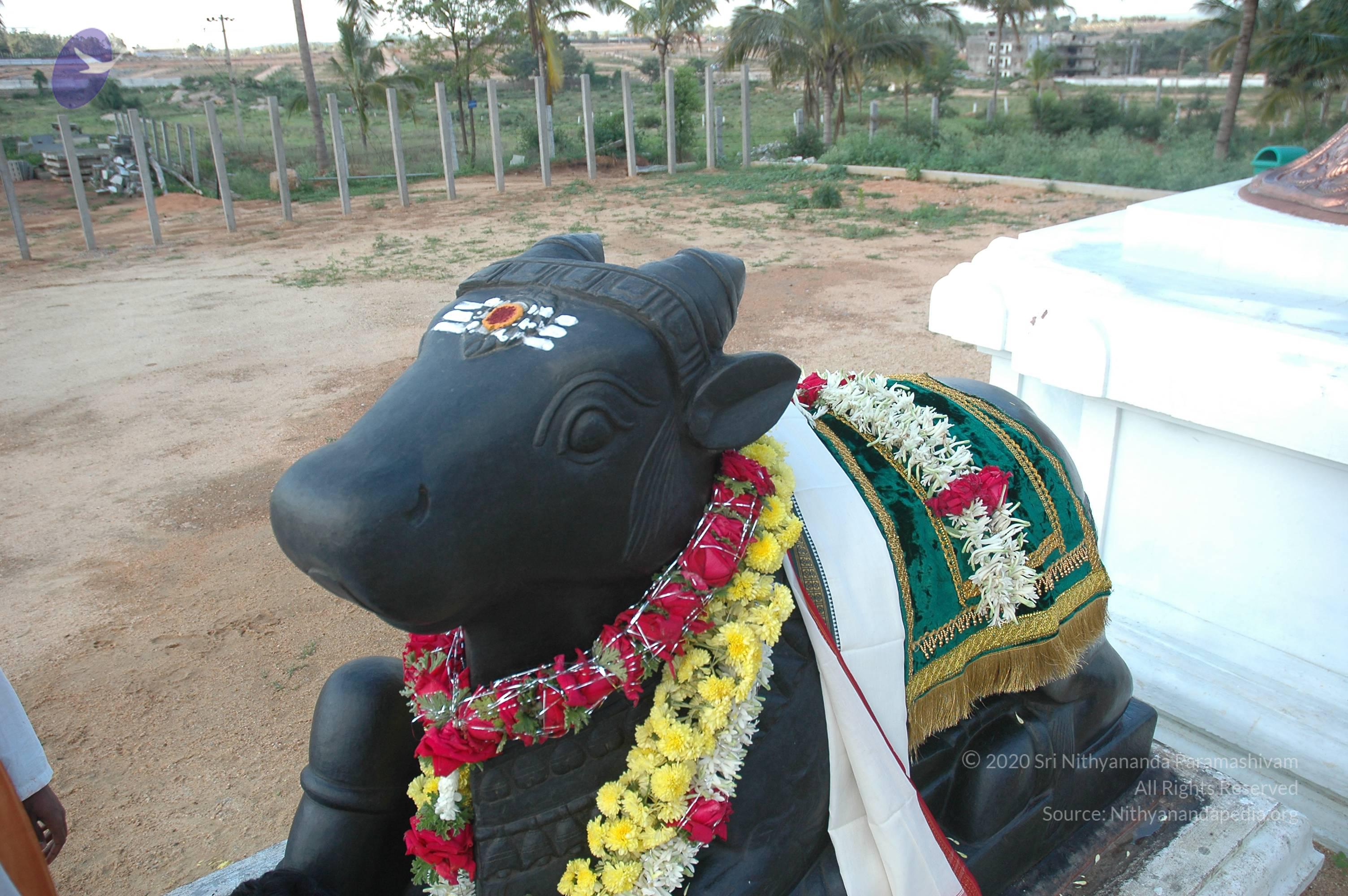 20070826_Photo_184_1akowuh0m67JhwGDW6QGHHBzr8jQHed0x