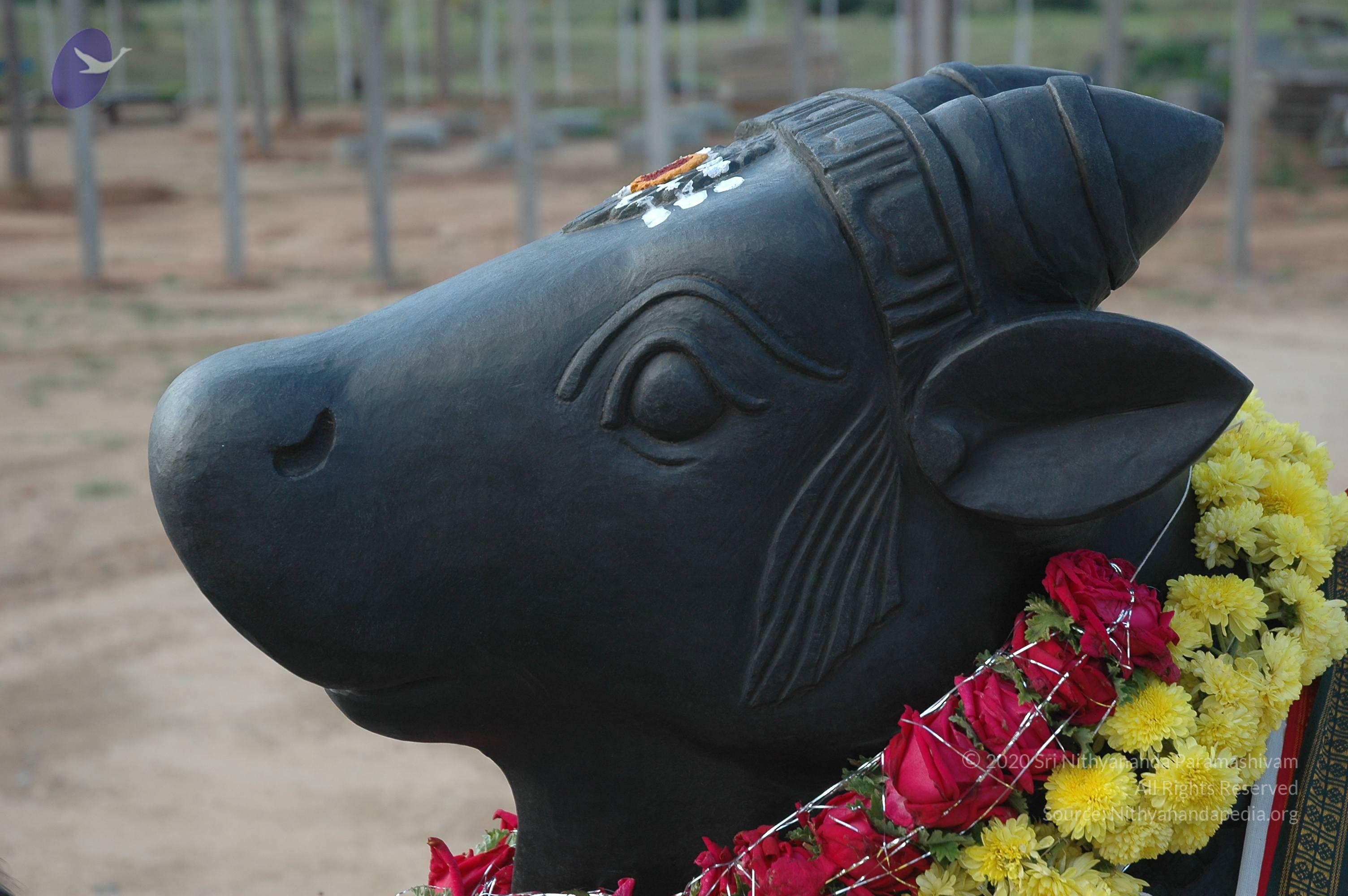 20070826_Photo_186_1oDqNiS7g4W2pXXmFjV_YM69-HlfdOrnt