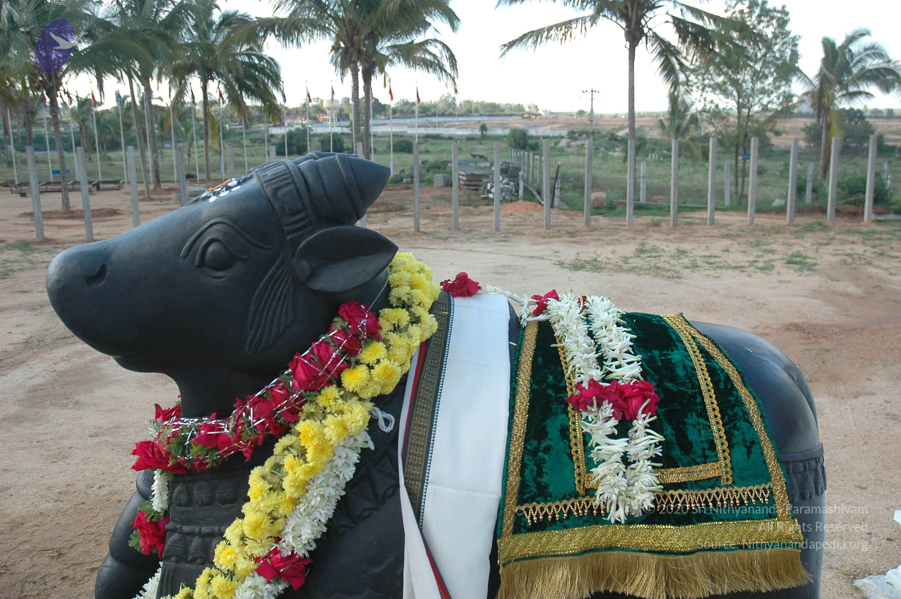 20070826_Photo_187_1z_O8Nv70j2WsKde-ADhFrlowe67jRuXw