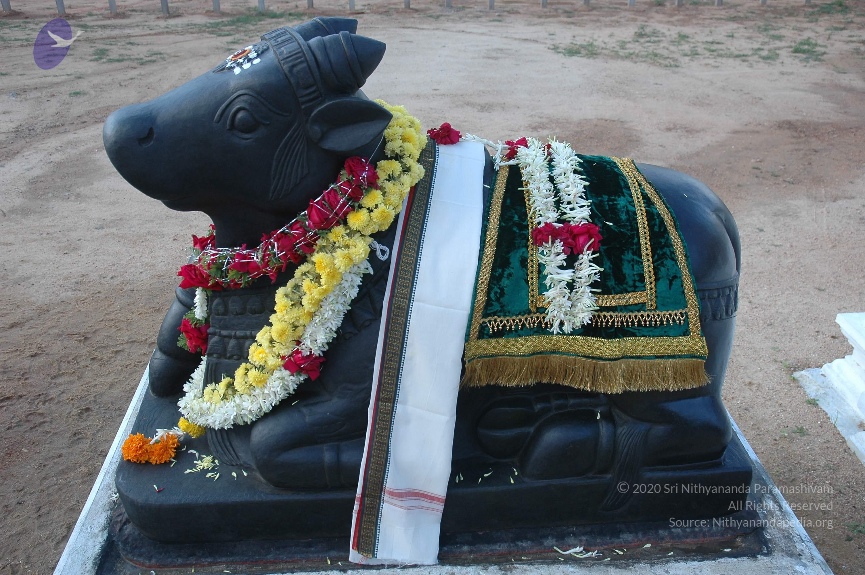 20070826_Photo_189_1K10kVCS2w4FggK2ibpS2L35SmfPipI3f