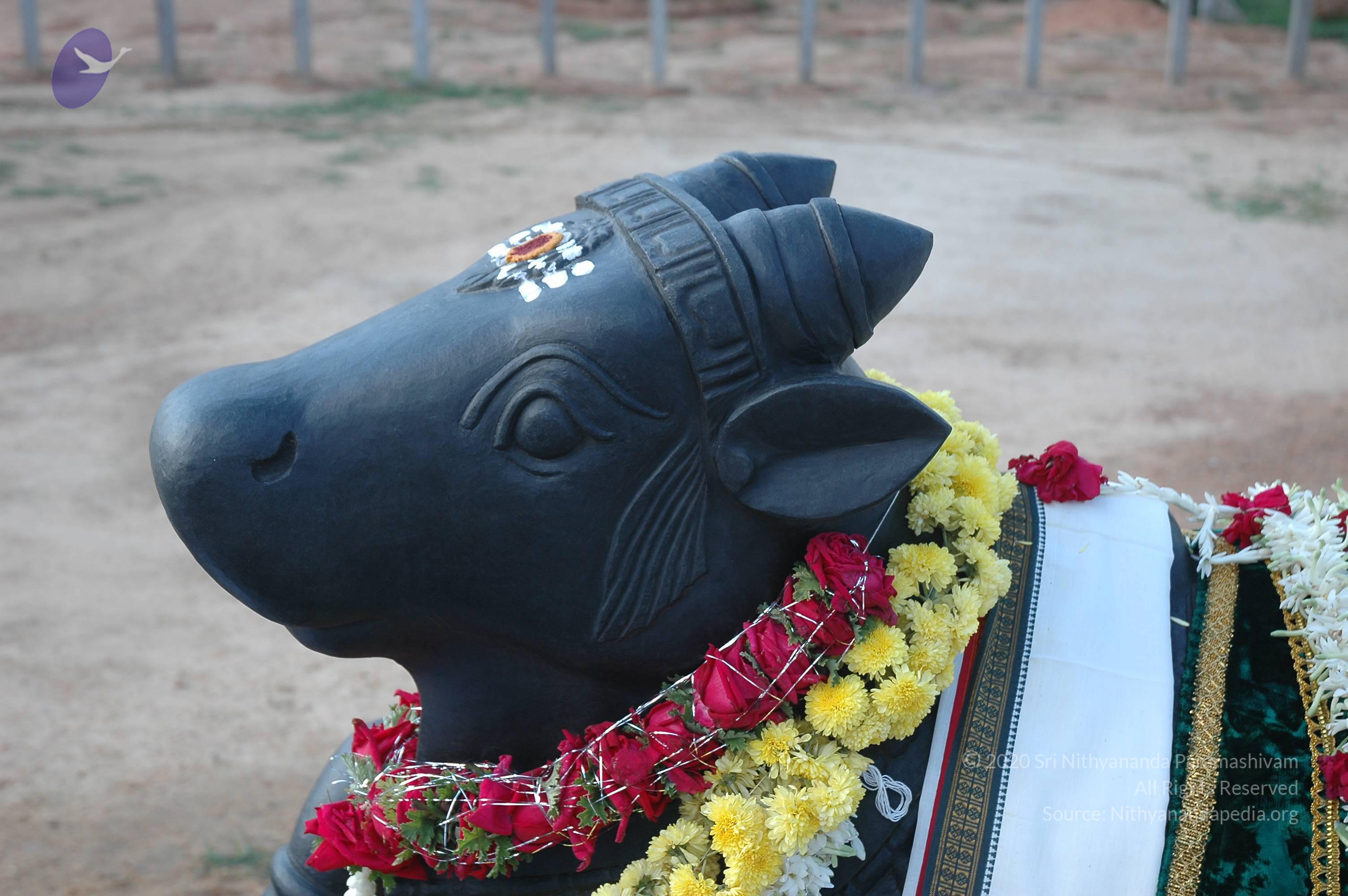 20070826_Photo_192_1lOtHAIC4JG4I2IR2B9IJgis4wVtkyD9s