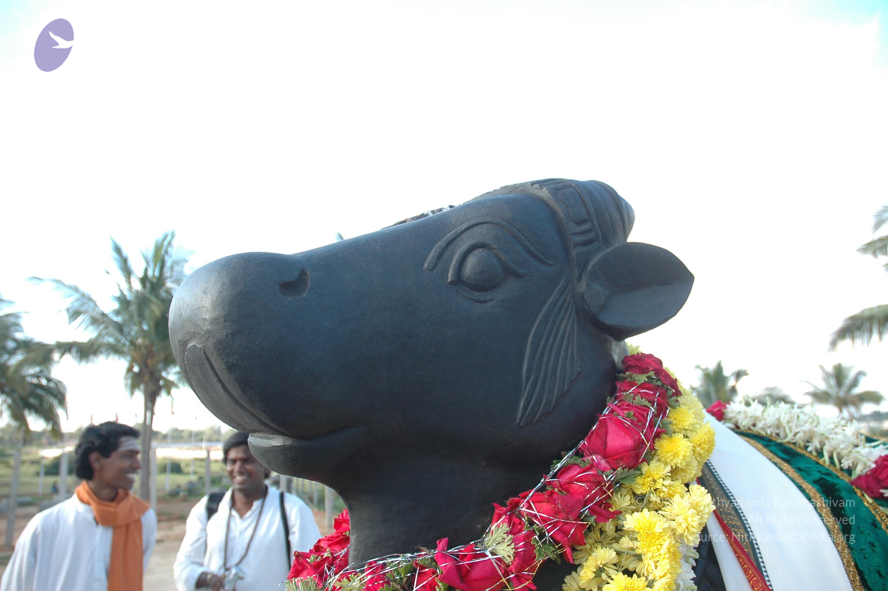 20070826_Photo_195_1i2pbEOF-ldtcjWwEK5Mkvhn6jqydDdFj