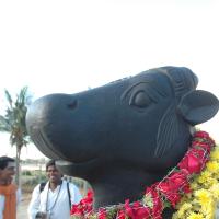 20070826_Photo_195_1i2pbEOF-ldtcjWwEK5Mkvhn6jqydDdFj