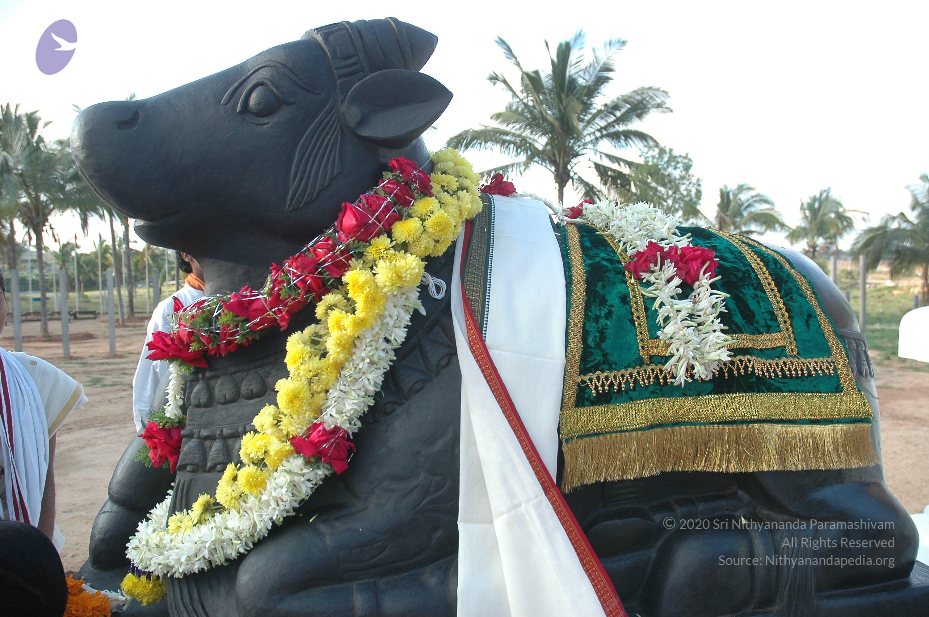 20070826_Photo_196_1XTzjBh-Qh7C-Oz7F3lo_yva_IxJh-lAm