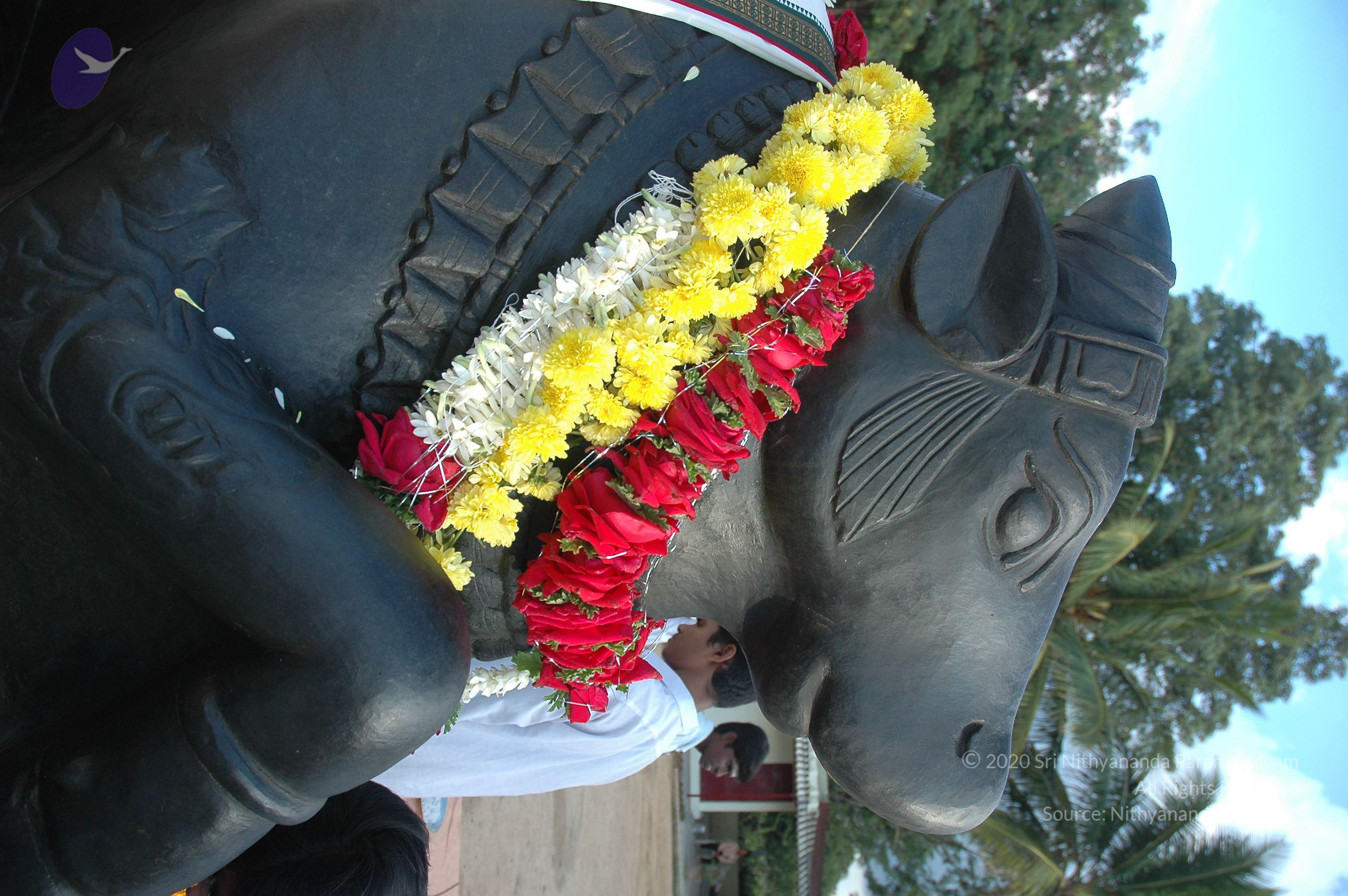 20070826_Photo_198_1UQ8i2YDmfFU7O6bmc3_yK3fBrpudpJ-_