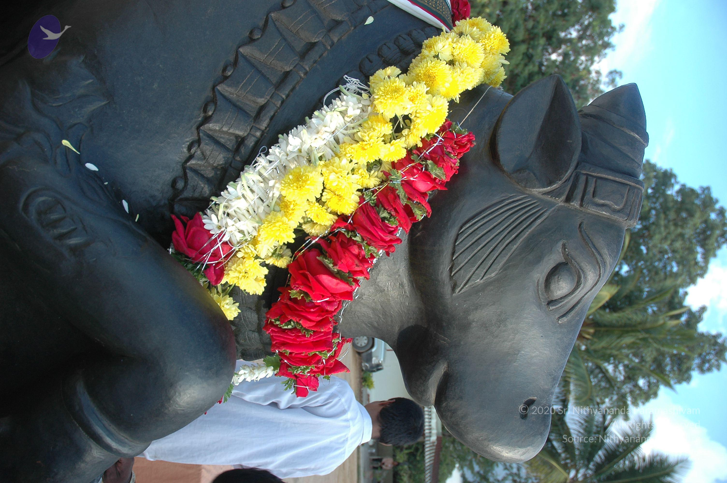 20070826_Photo_199_13Dk9D0YO8lvIGWaWgD0moE6MqpWaGA4b