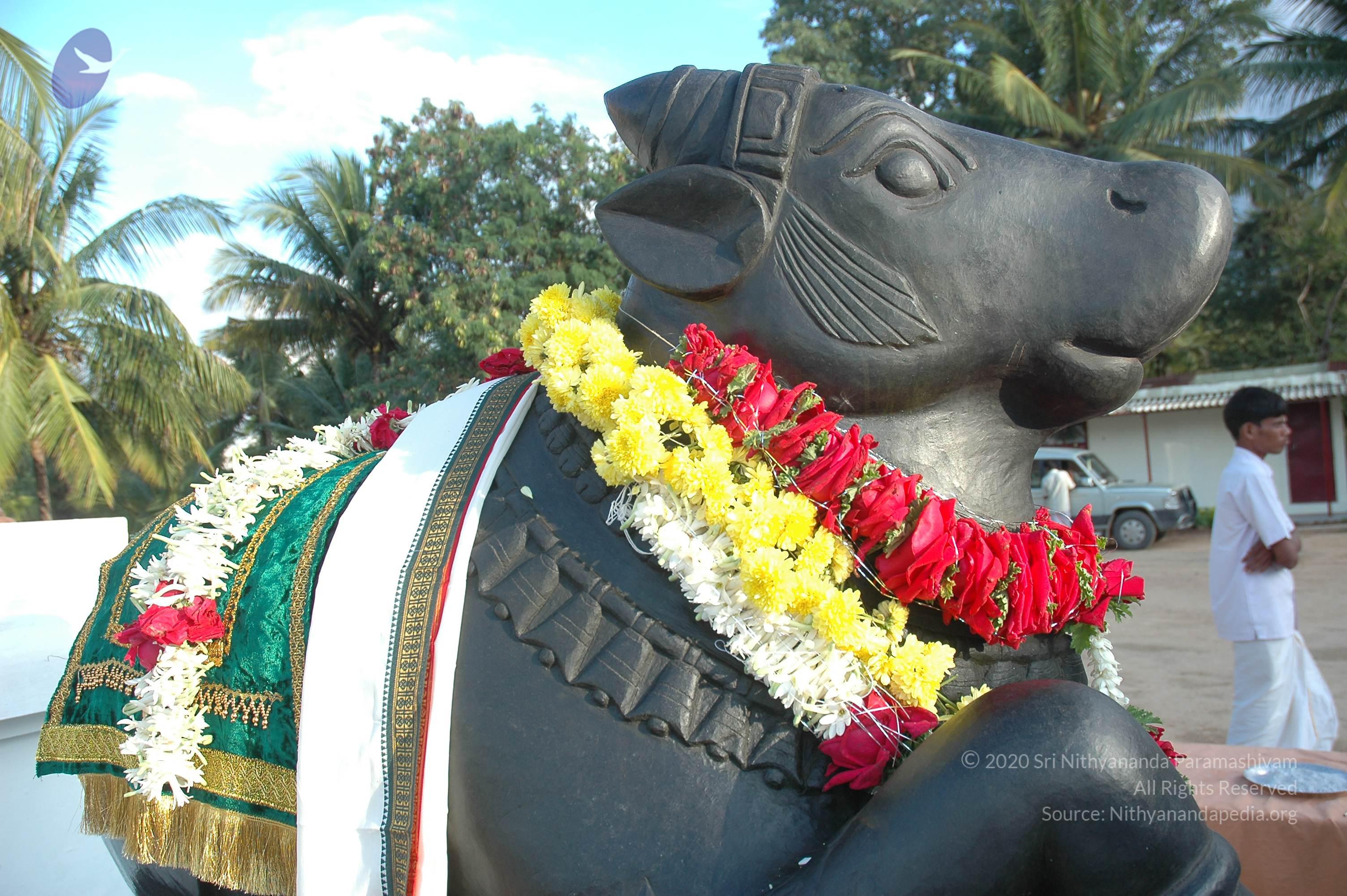 20070826_Photo_202_1xTaEYfPqHhn6b1FqQ7qsXVzh1XhybjPI