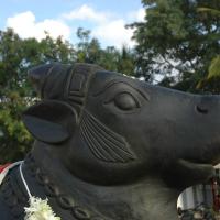 20070826_Photo_216_1Jf_QFygzTeM4Hh-Ud4m28BdowDAT8q-m