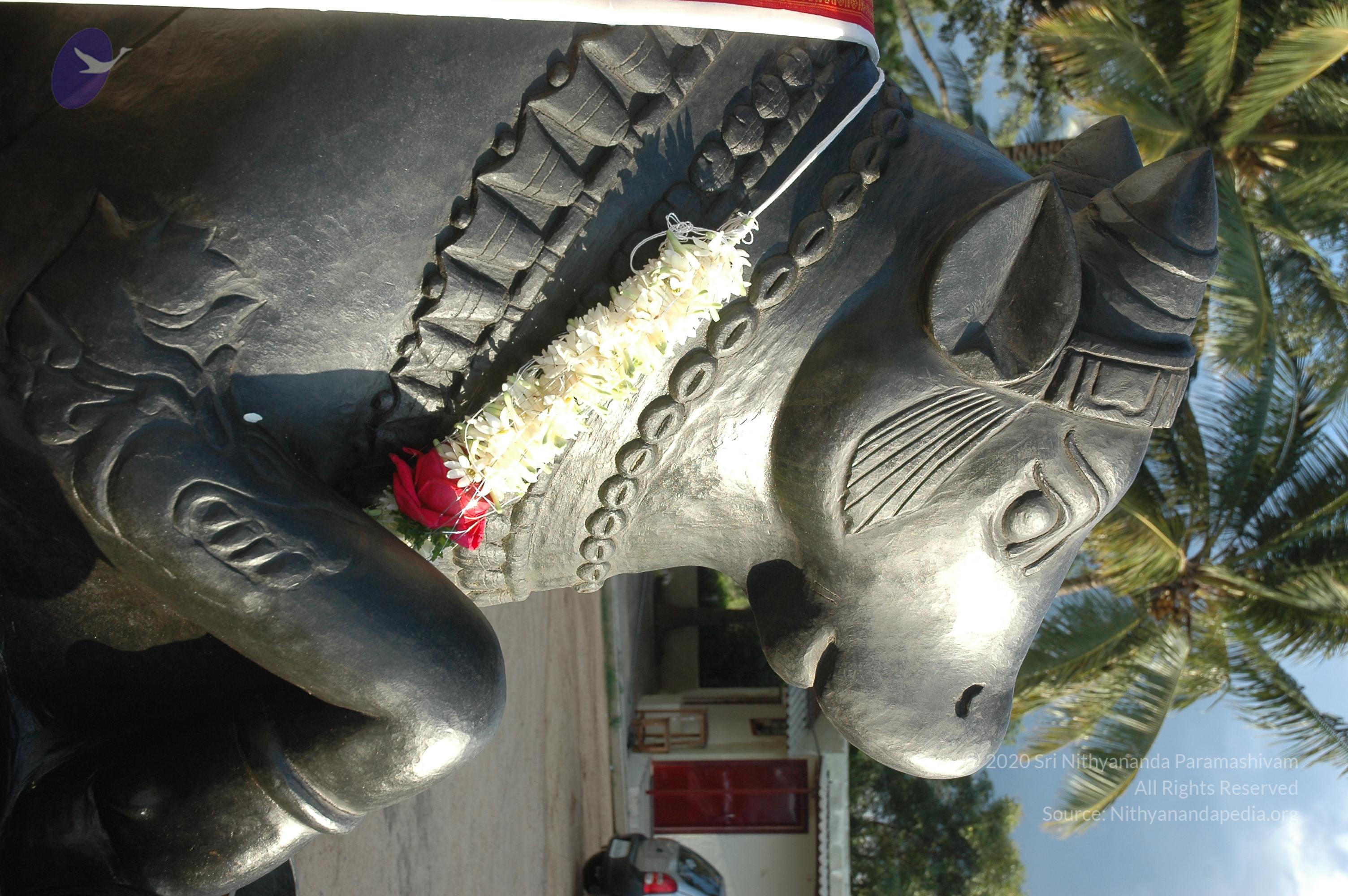 20070826_Photo_218_1vNy3er0QpOd0tQvkCFIhO59O2jXU_EOP