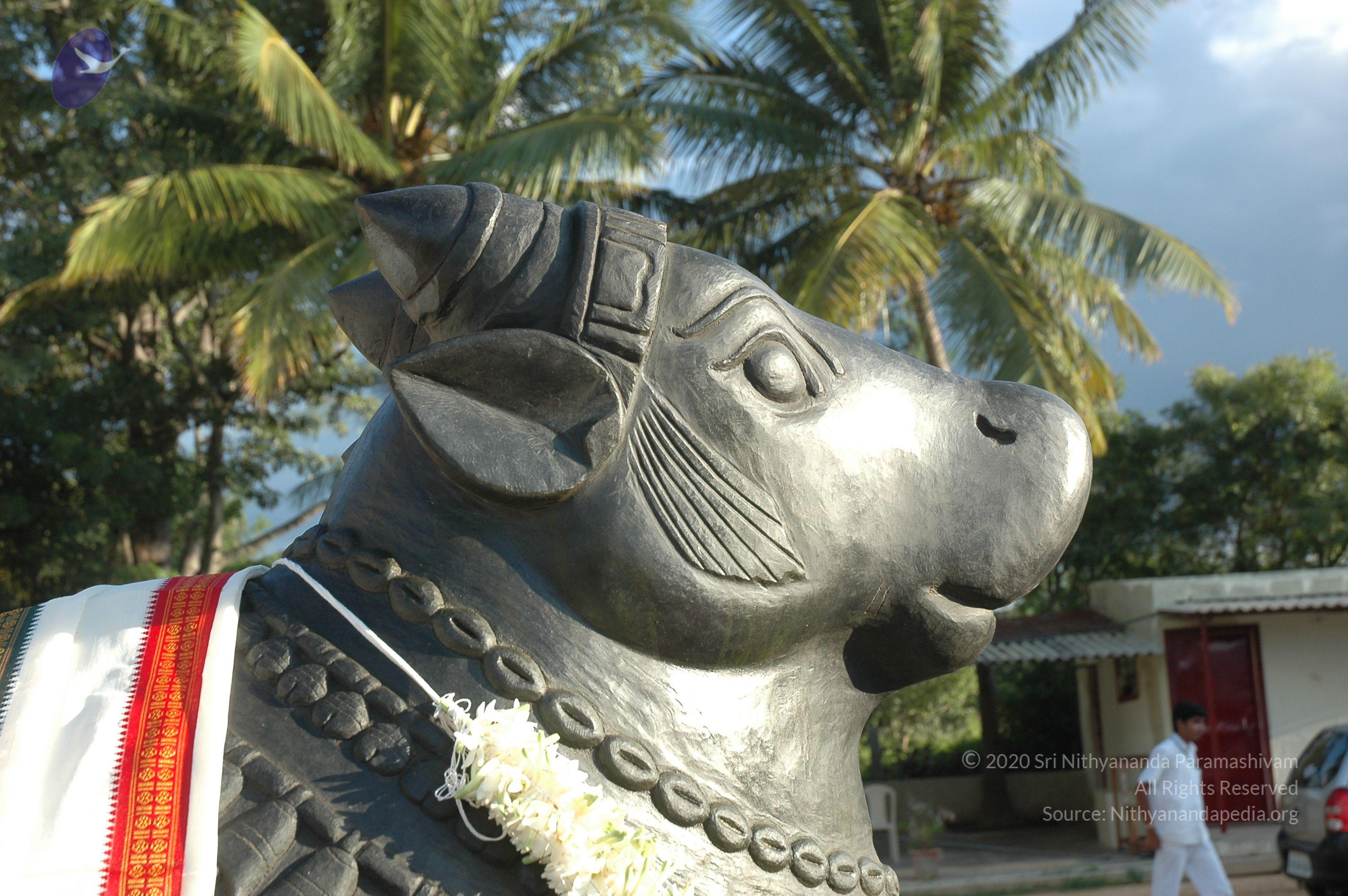 20070826_Photo_219_1SHfBlroxgDEl9NUNPHcNKtpy8cOBBSmW