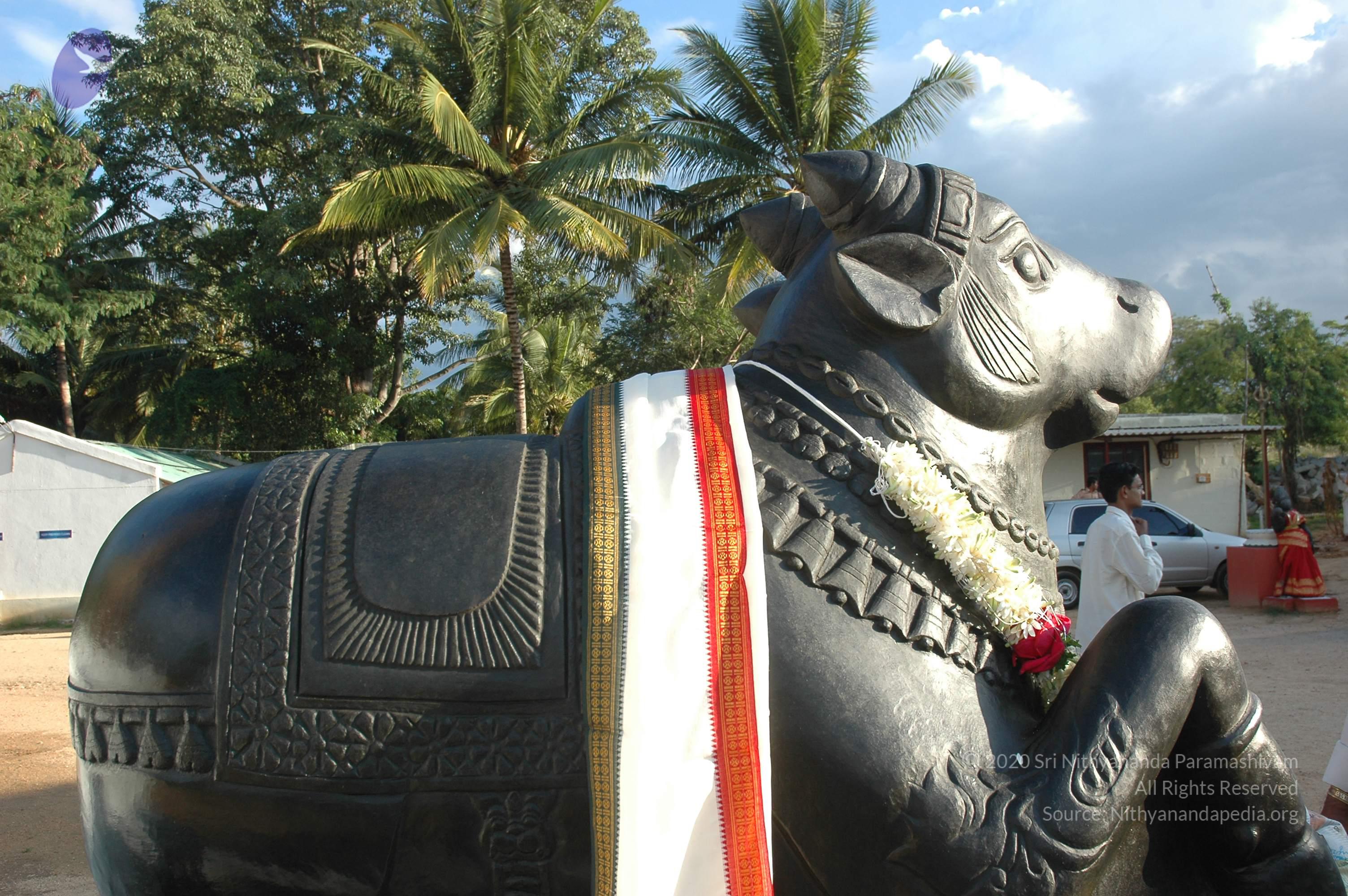 20070826_Photo_220_19MDDQZJHUu8w80YZDCCMXtOaoF_JDjA1