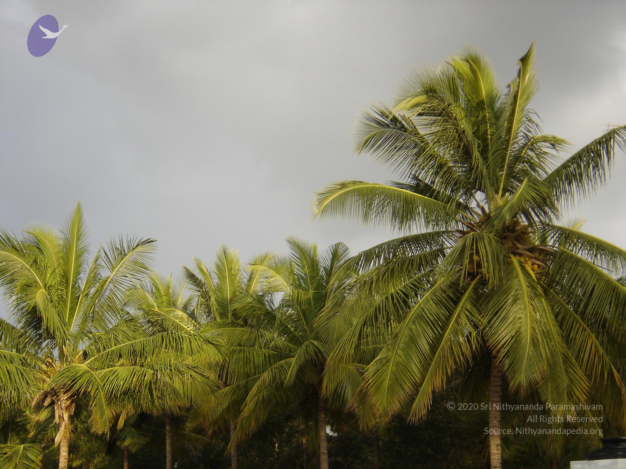 20070826_Photo_27_1VoMniYrnhNDB6zhx2KkMtTA_1OR4i-JR