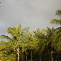 20070826_Photo_28_1uWFv_-kimZEbOwKkDUjHSqU3Ve2GWnFf