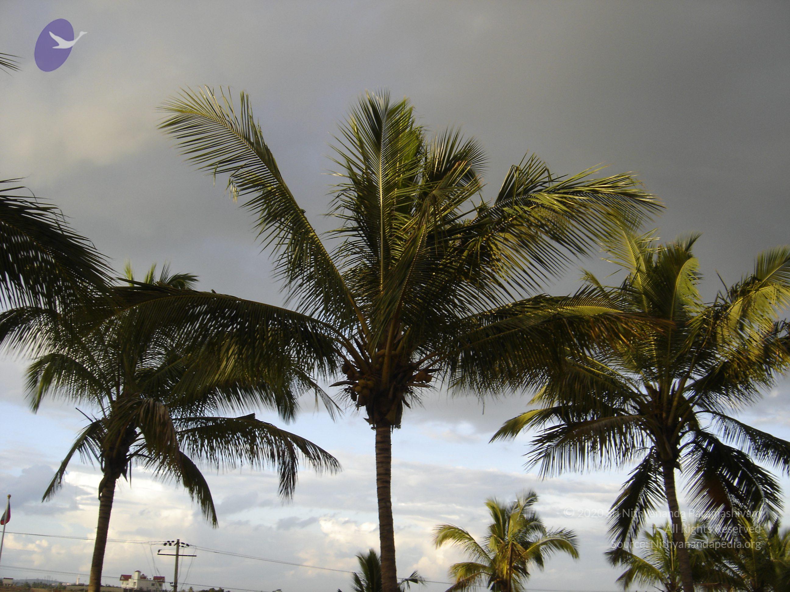 20070826_Photo_29_1cTMk45k2n3R6ohAaJBKHcySNOP4nOtZV