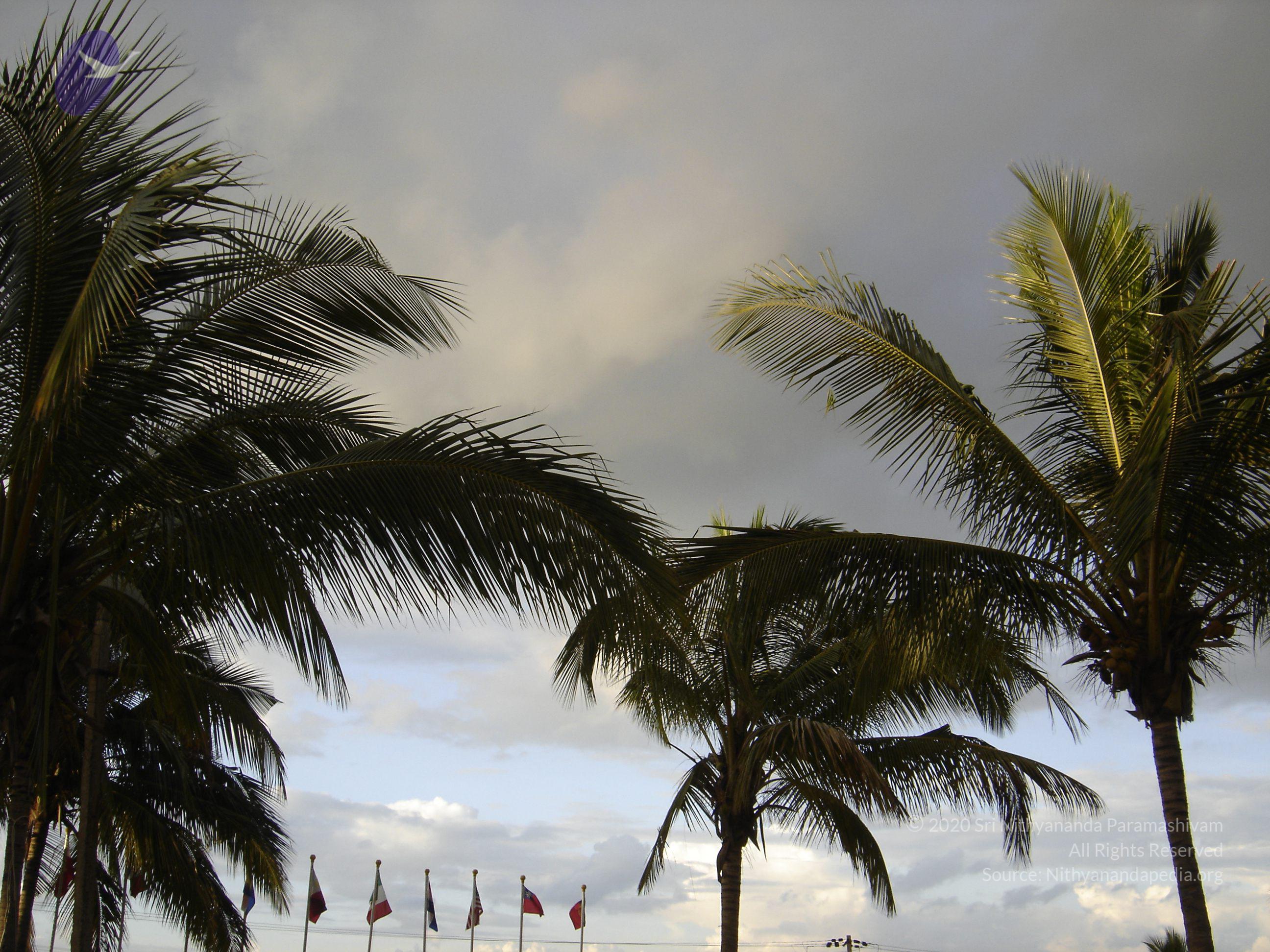 20070826_Photo_30_14Q0jSjswOzXawQoO1TtW4-0iEEUIphPN