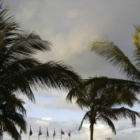 20070826_Photo_30_14Q0jSjswOzXawQoO1TtW4-0iEEUIphPN