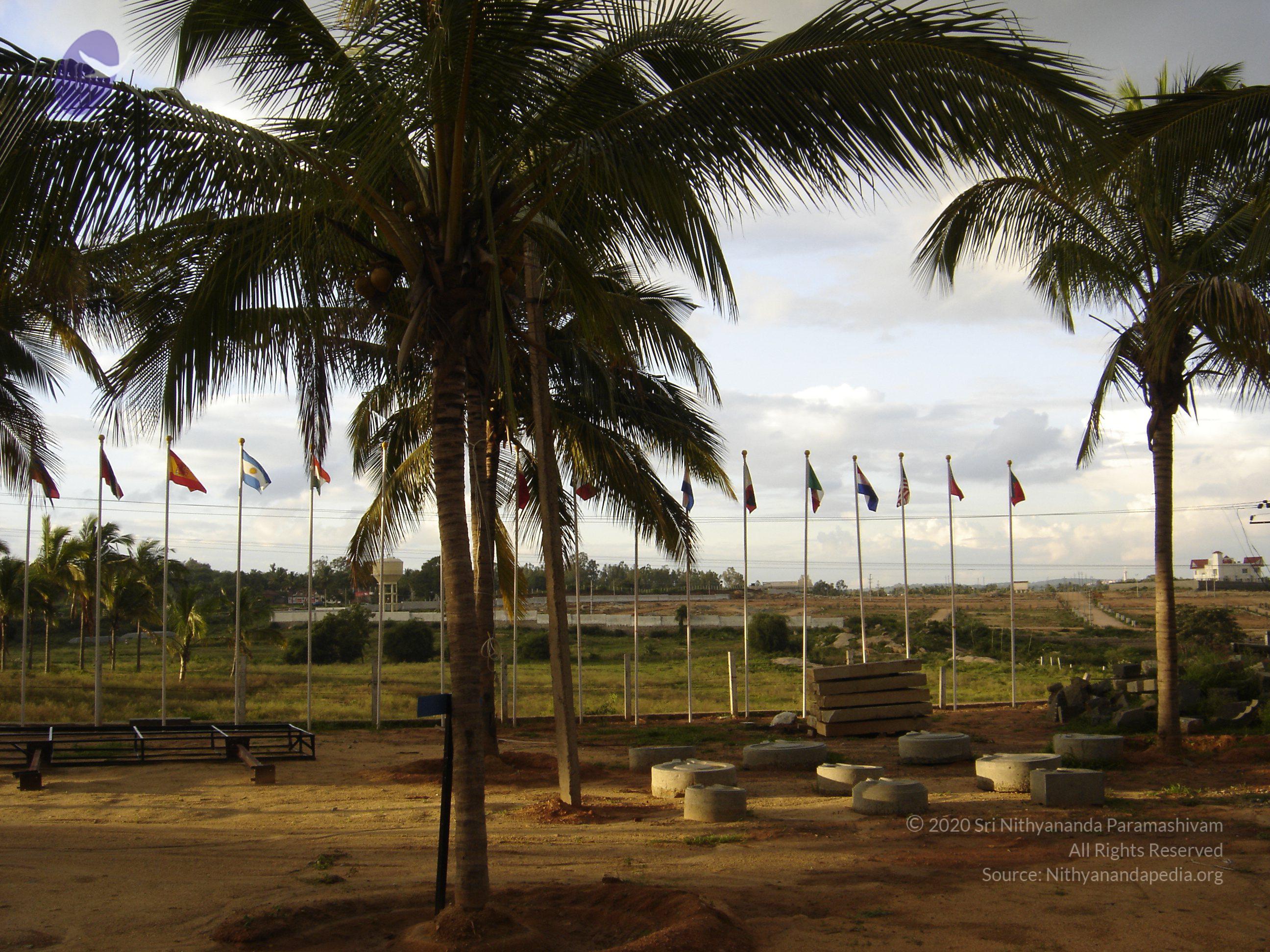 20070826_Photo_31_1QVOJACc9XmtAXnAKUbhDPsGSxauj8CdC