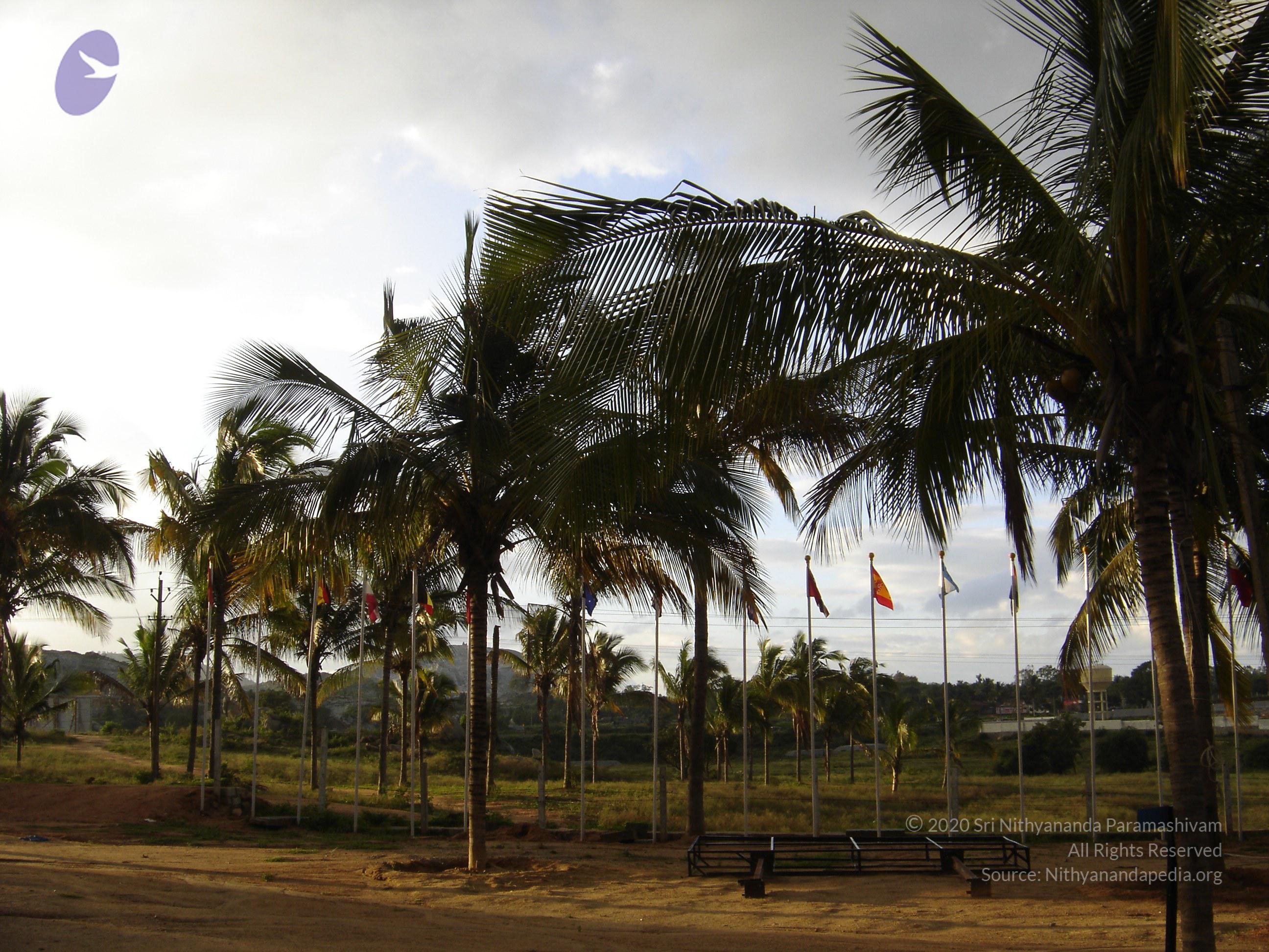 20070826_Photo_32_1TslZRhK2XicjcNWoLZKjr1dZNLpzAEJ1