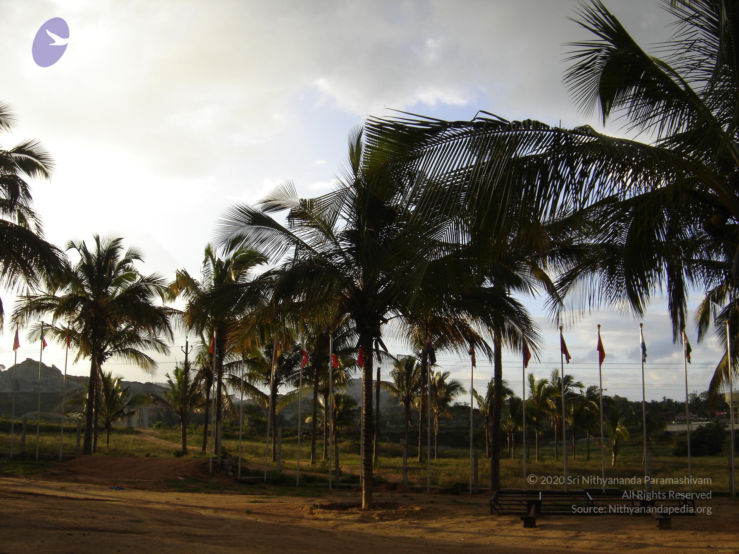 20070826_Photo_33_1BfFvW51AS0yhUu5PQIMPPhA6dVFcNybj