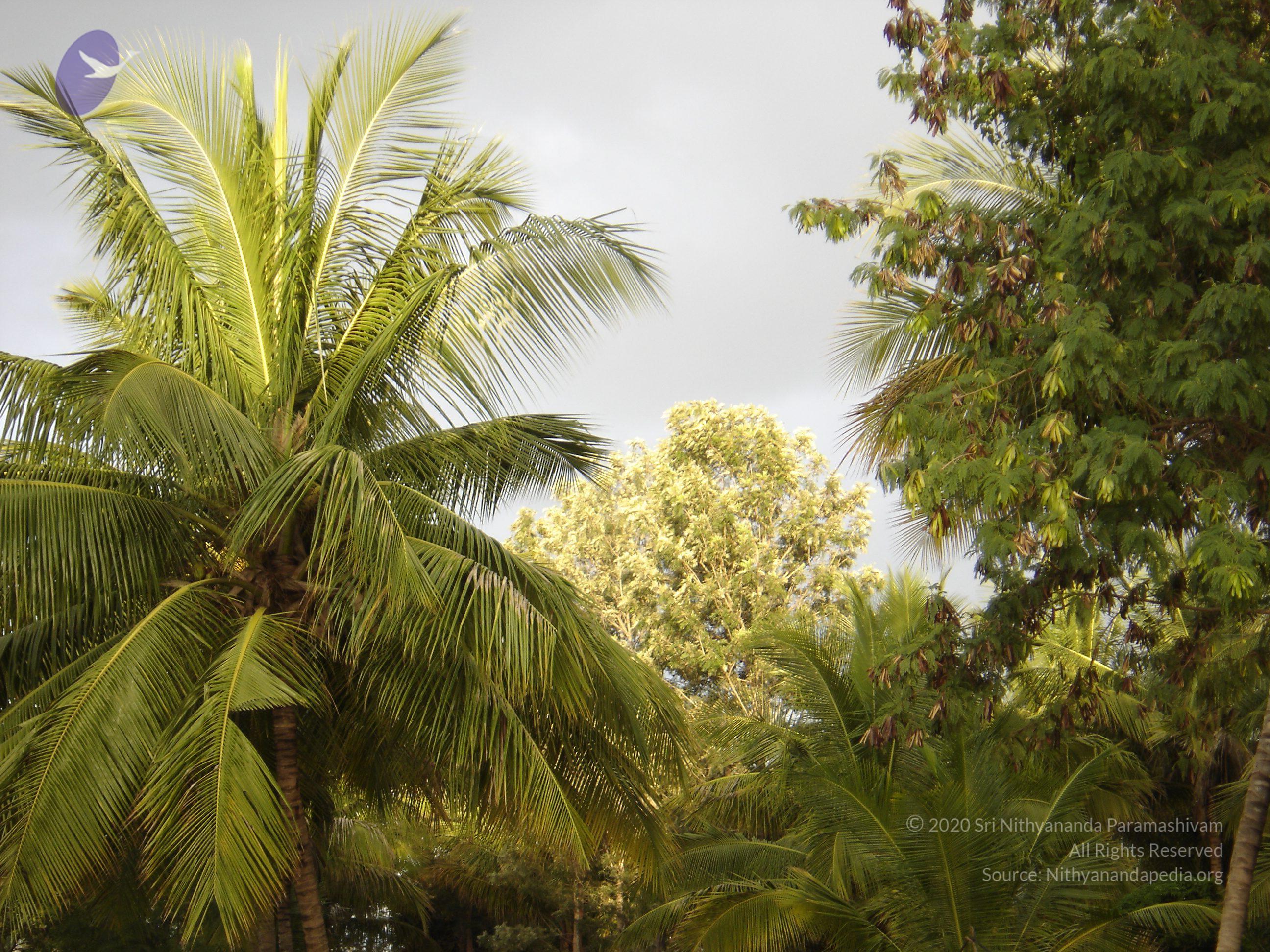 20070826_Photo_35_1nq9UhmrMaZkm2LNCKsBTW794QqiiSPEQ