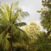 20070826_Photo_35_1nq9UhmrMaZkm2LNCKsBTW794QqiiSPEQ