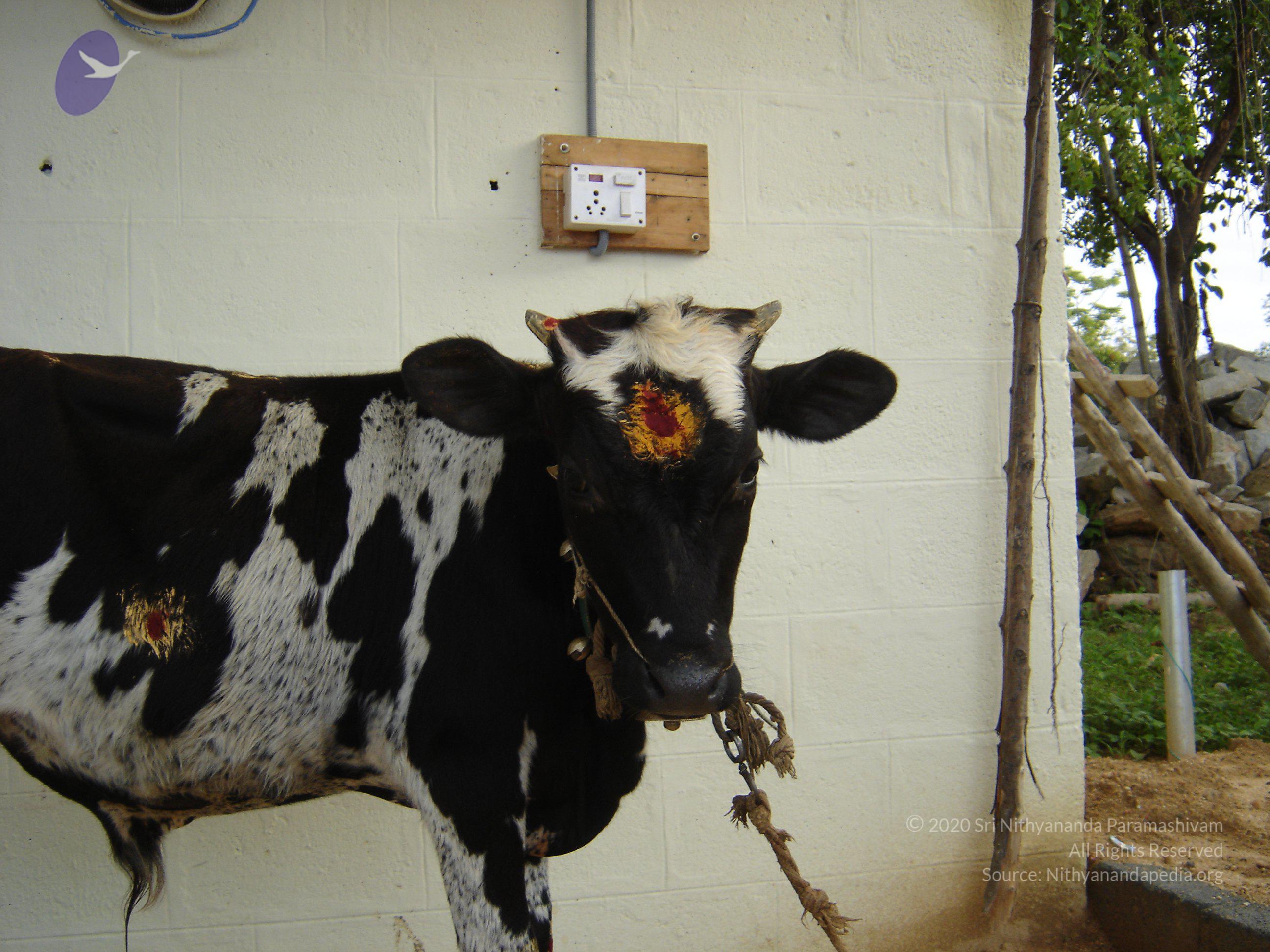 20070826_Photo_37_1ZoeltsauZm9MMbHqZo6-EGgEP5OM0wfL