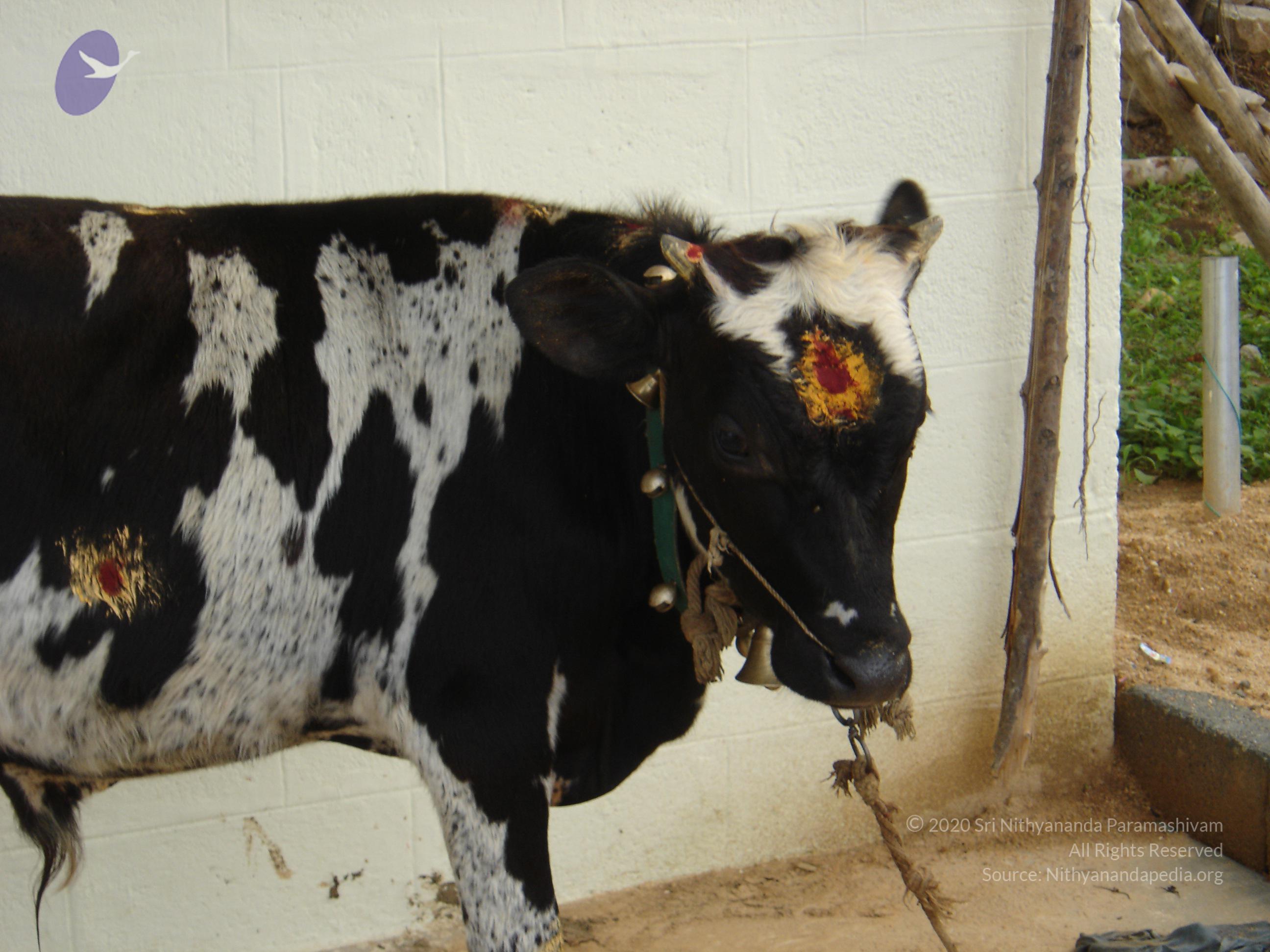 20070826_Photo_38_10H5-7jy6td0VjFmBaDO7UBvVpeutiP9_