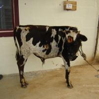 20070826_Photo_39_18FIislwSFPSjx4qPYNcDImNjEFKjY4Rl