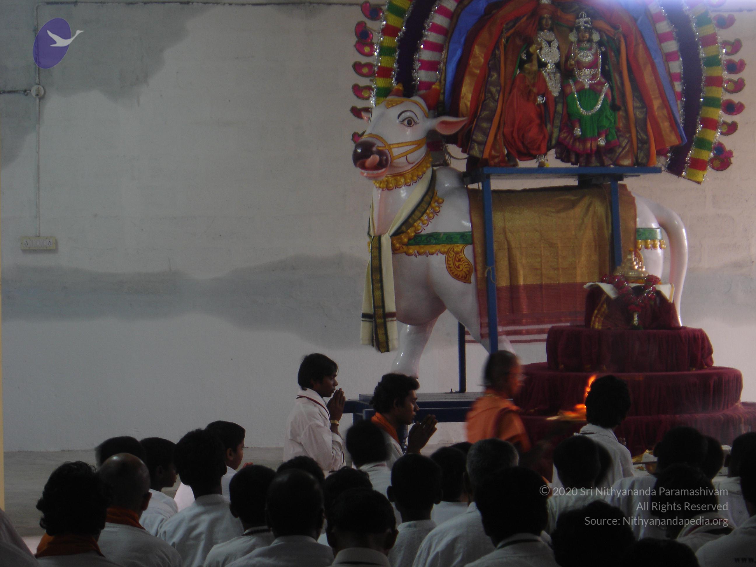 20070826_Photo_3_1M6-IItkYUpzeTXhudLd-zi-QL74jqfht