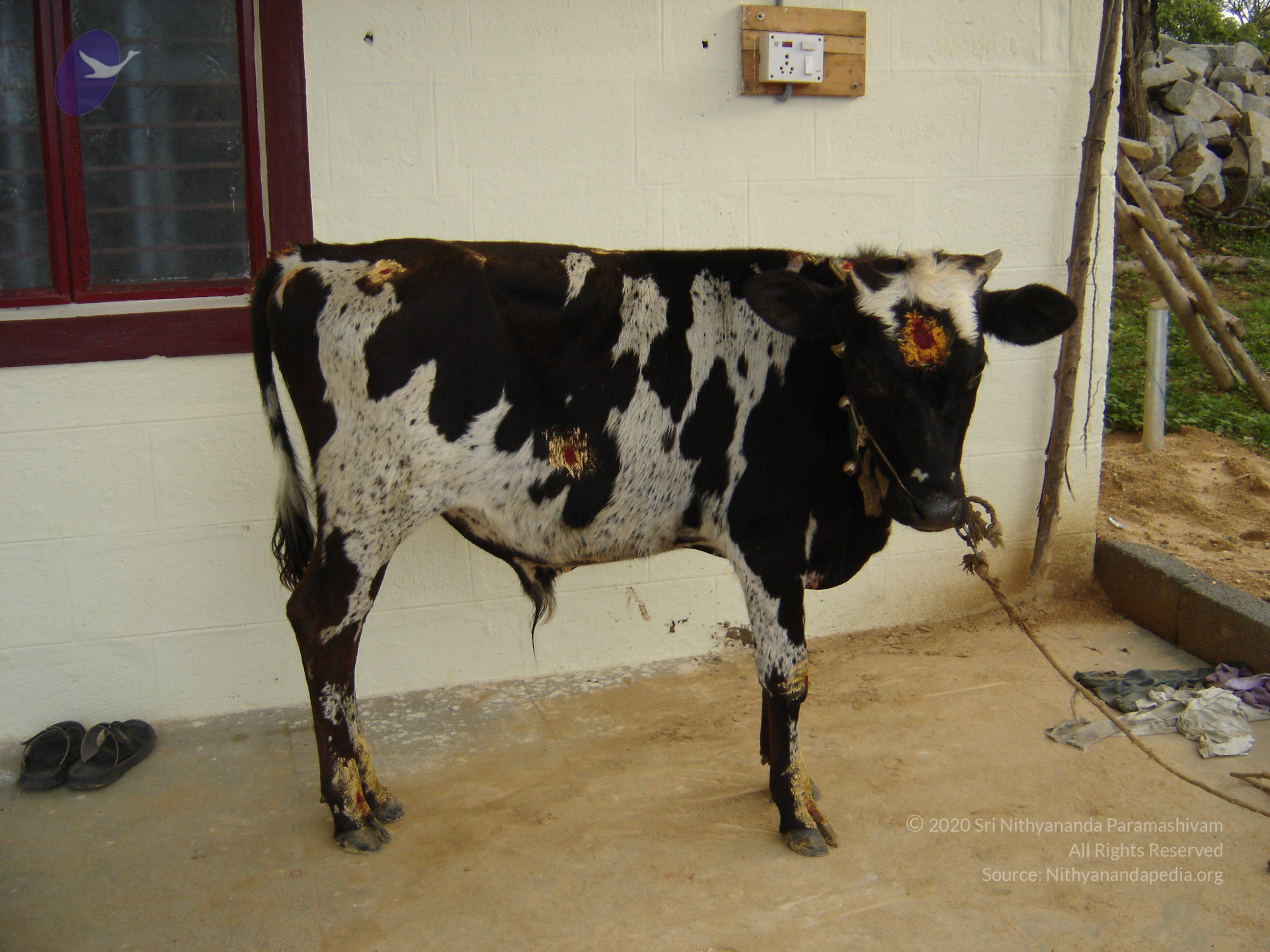 20070826_Photo_40_1xDwHoy2rXLoCOAPZ7Ii4G52D94aPTCmU