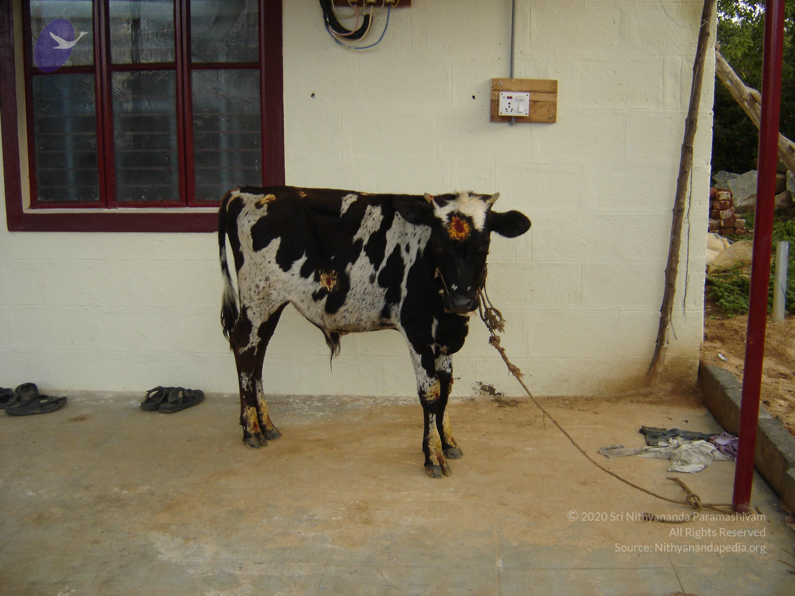 20070826_Photo_41_1j0K0s5CNqpenNuKZzCKX0xHjb28eZ8E7