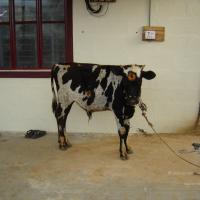 20070826_Photo_41_1j0K0s5CNqpenNuKZzCKX0xHjb28eZ8E7