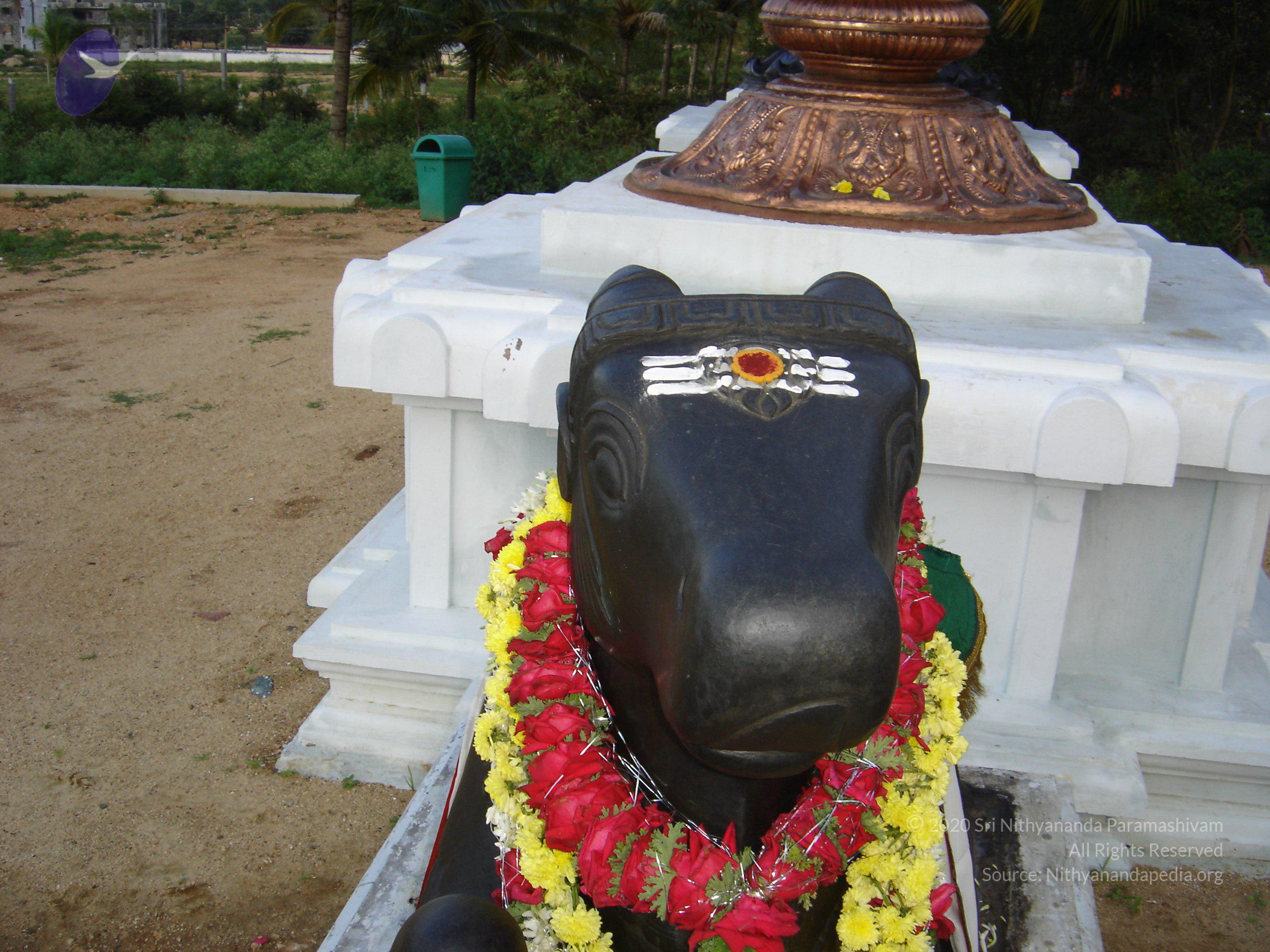 20070826_Photo_61_1sD0q_3jAE7M0PDRcNy-UlZpV-TxwHg4T