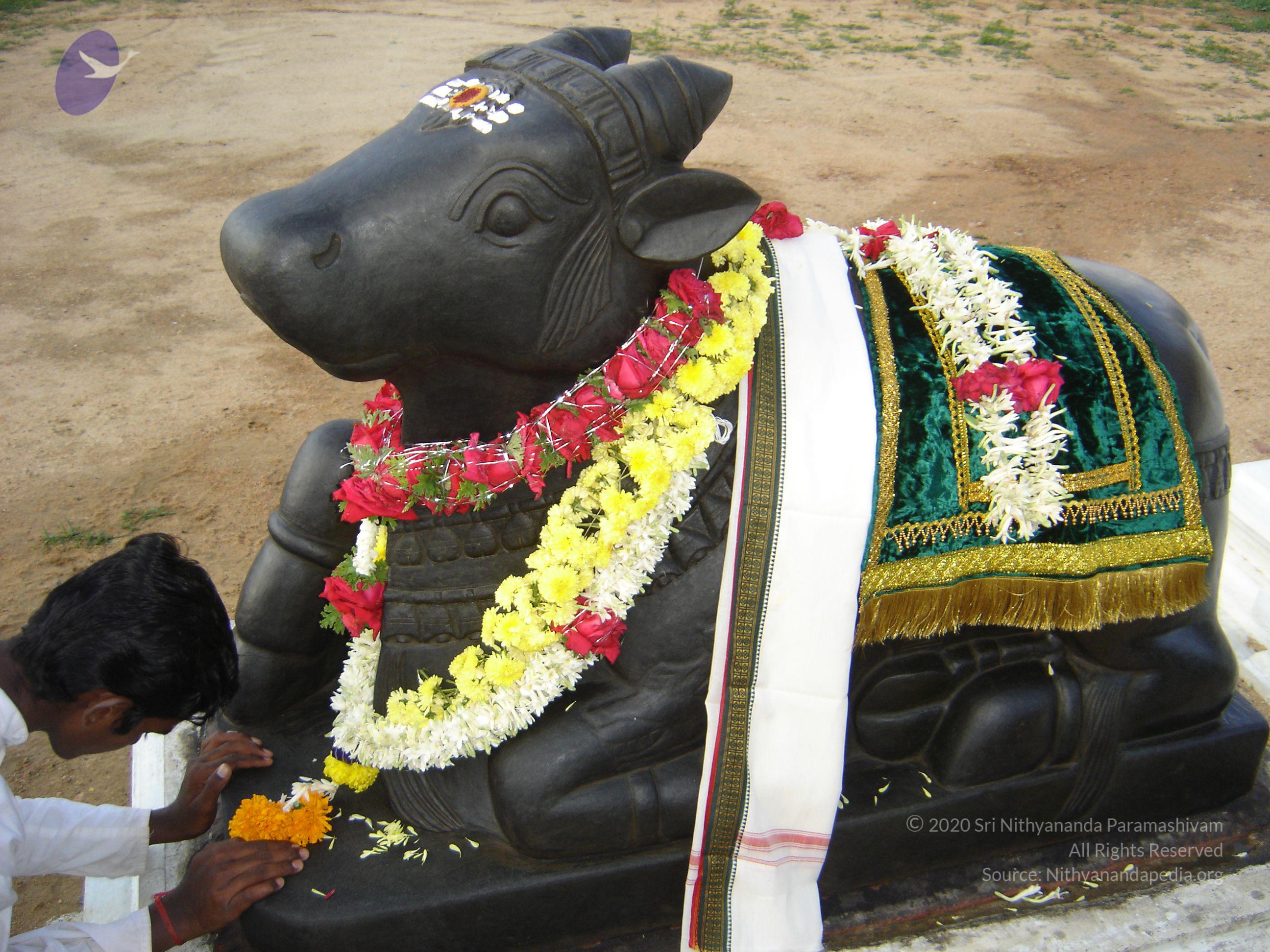 20070826_Photo_63_1cjHm1dGc2yYN1VhV3oHdAgW_pJSHsyeO