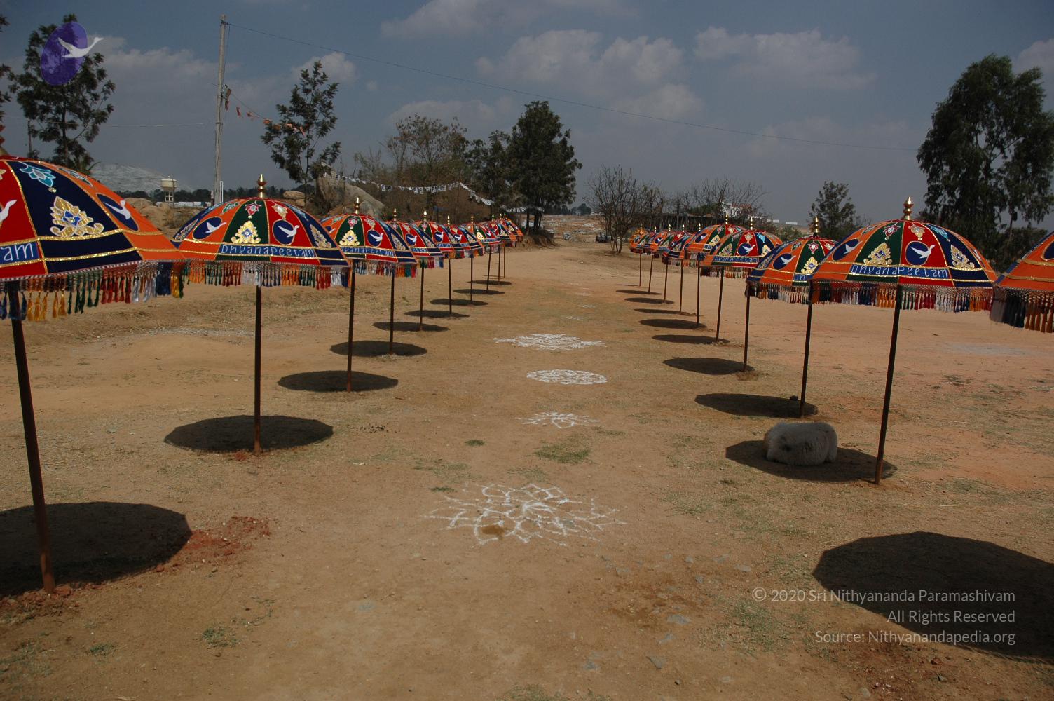 20070215_Photo_1034_DSC_7895_CMP_WM