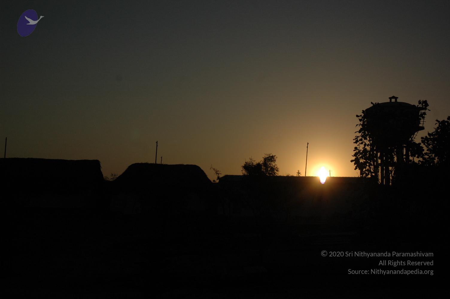 20070215_Photo_1079_DSC_7468_CMP_WM