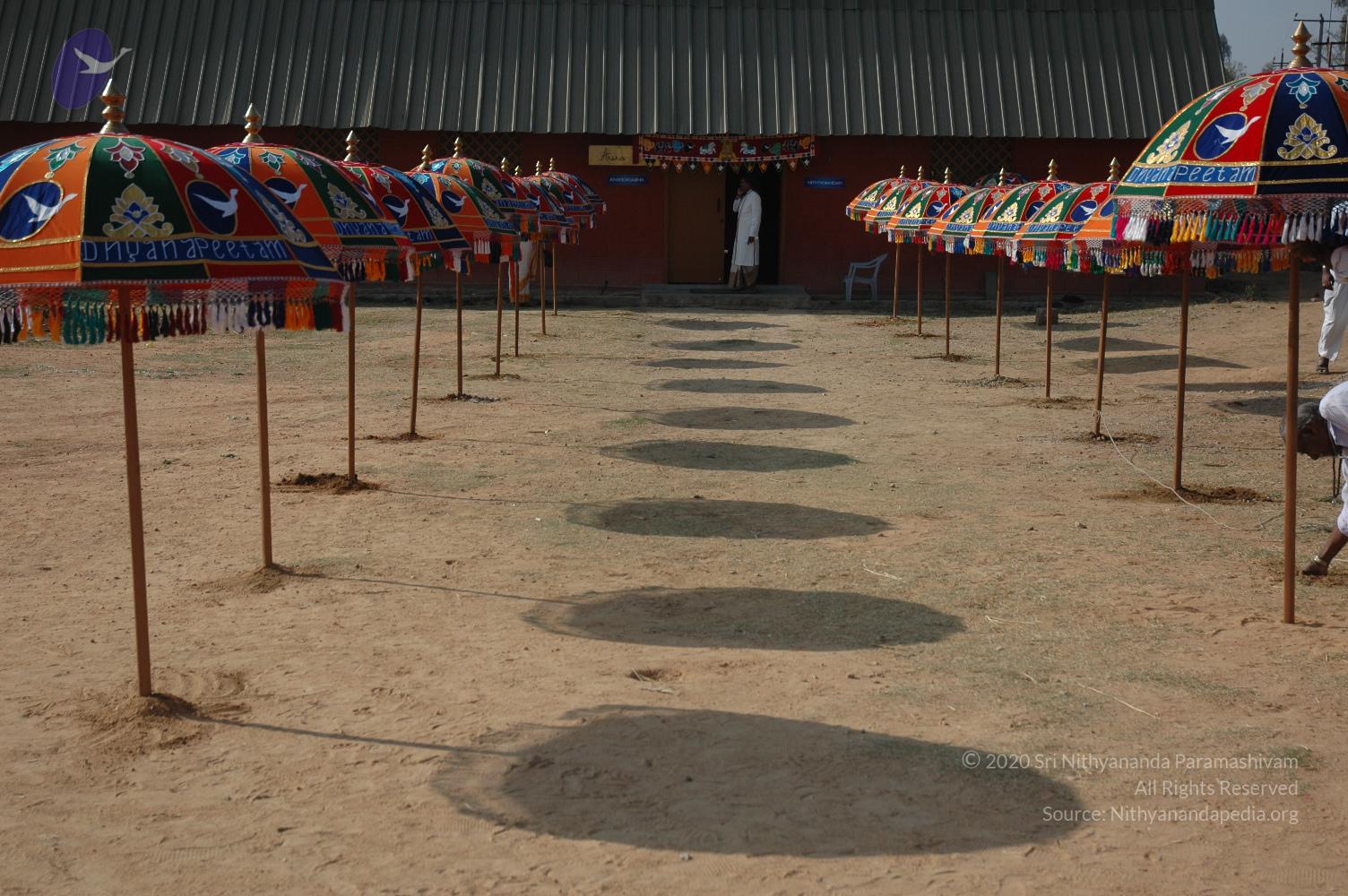 20070215_Photo_1165_DSC_7800_CMP_WM