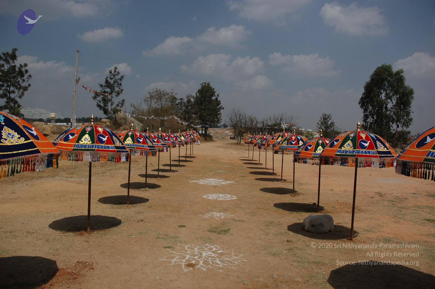 20070215_Photo_1841_DSC_7896_CMP_WM