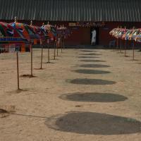 20070215_Photo_1165_DSC_7800_CMP_WM